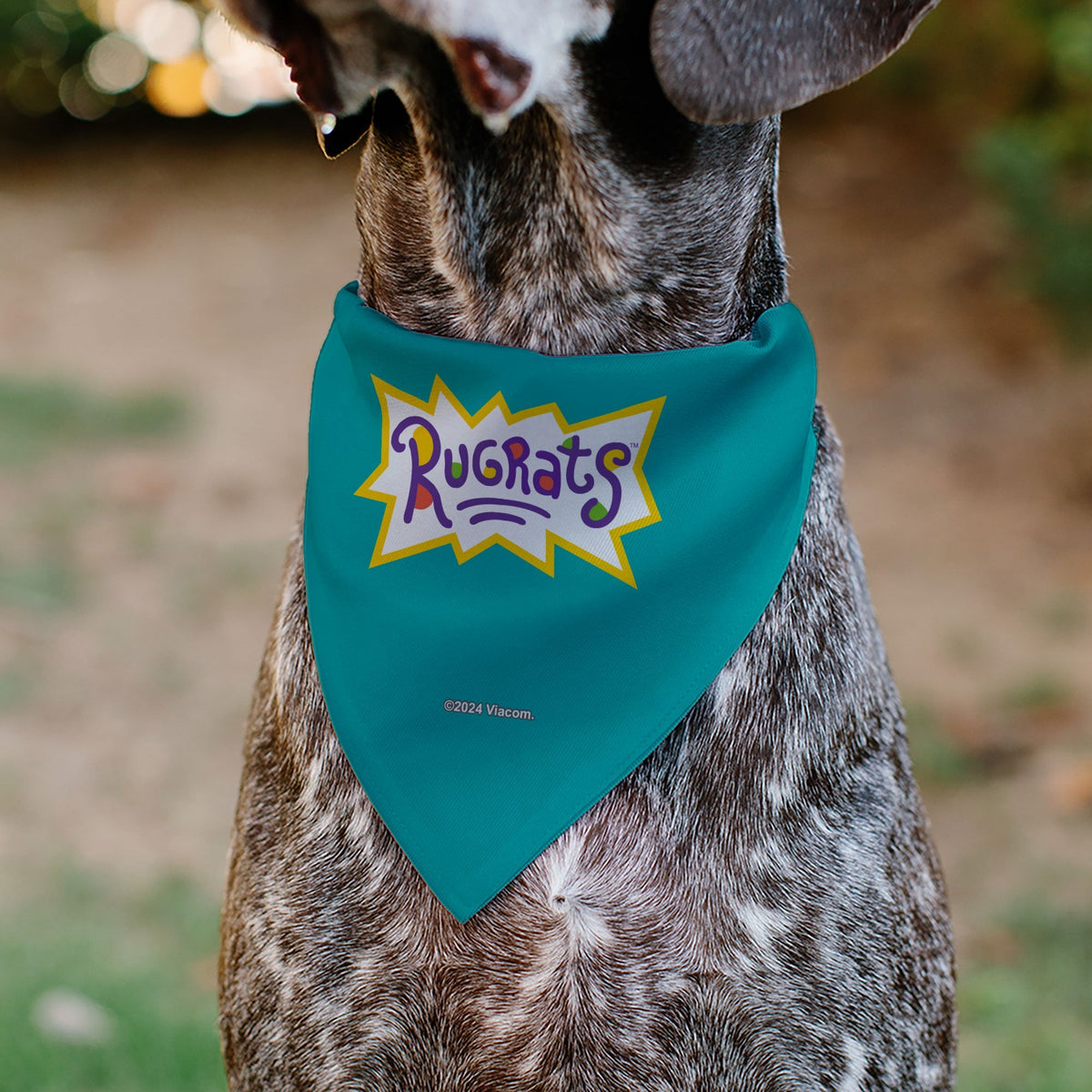 Pet Bandana - Rugrats Kids Group Pose and Title Logo Blue 