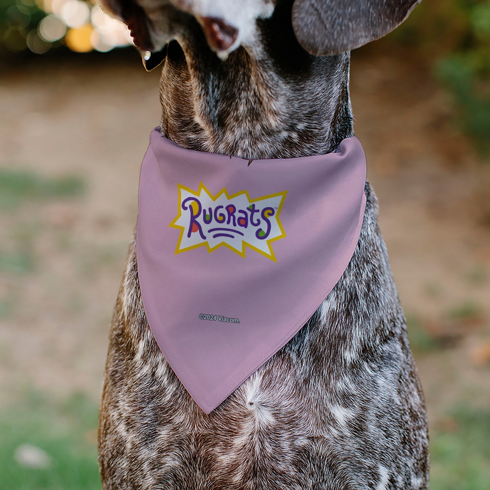 Pet Bandana - Rugrats Chuckie HUG ME Hearts Pose Pink 