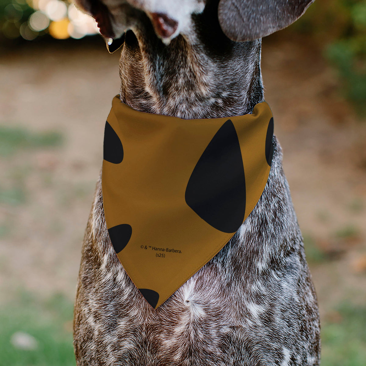 Pet Bandana - Scooby Doo Character Close-Up SD Dog Tag Brown | HT Animal Supply