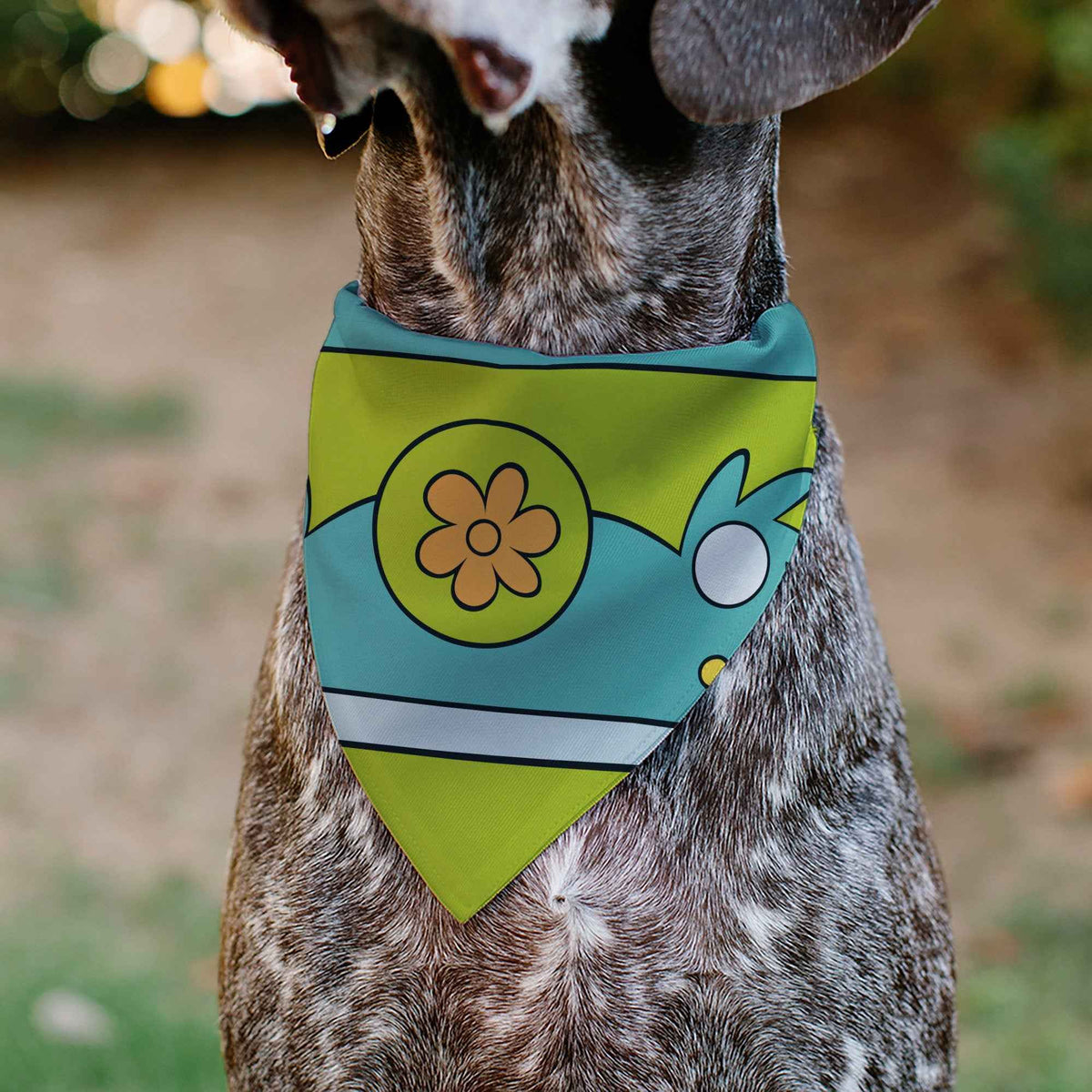Pet Bandana - Scooby Doo THE MYSTERY MACHINE Logo Blues/Yellow/Orange