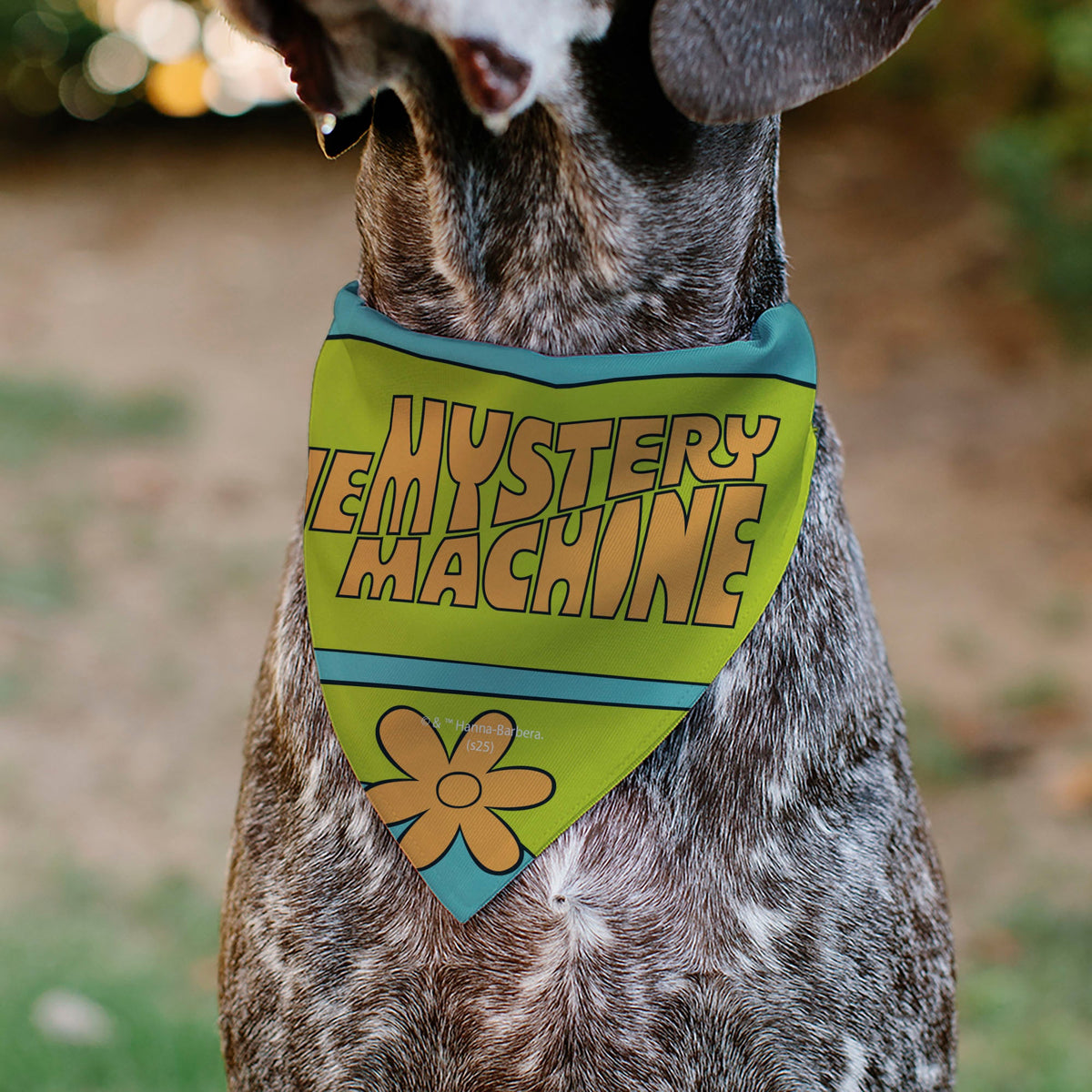 Pet Bandana - Scooby Doo THE MYSTERY MACHINE Logo Blues/Yellow/Orange | HT Animal Supply