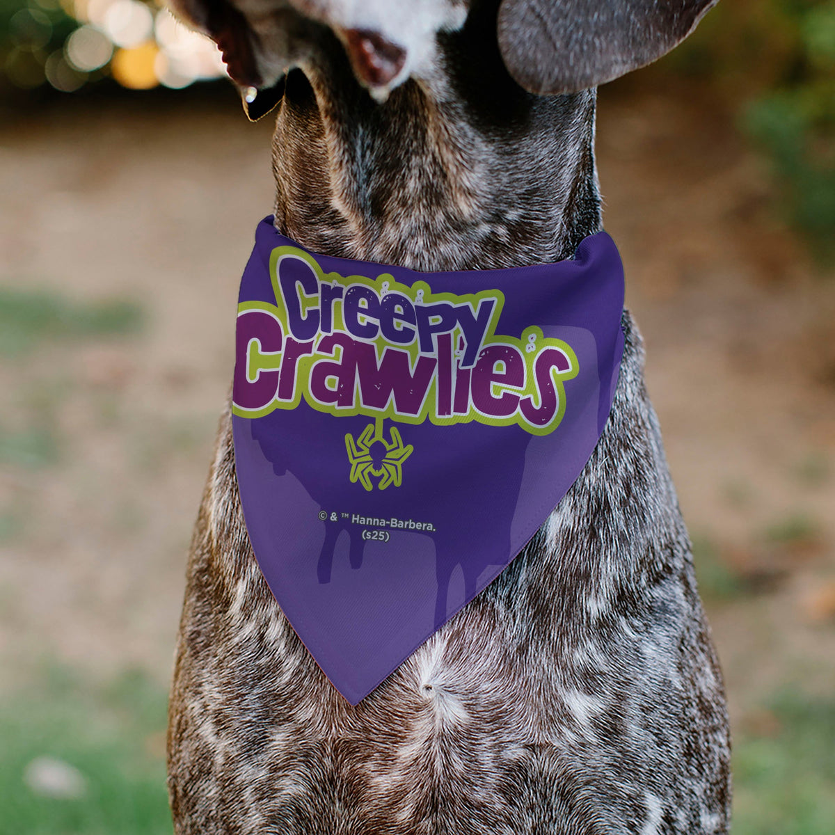Pet Bandana - Scooby Doo Halloween Spider Web CREEPY CRAWLIES Pose Purples | HT Animal Supply