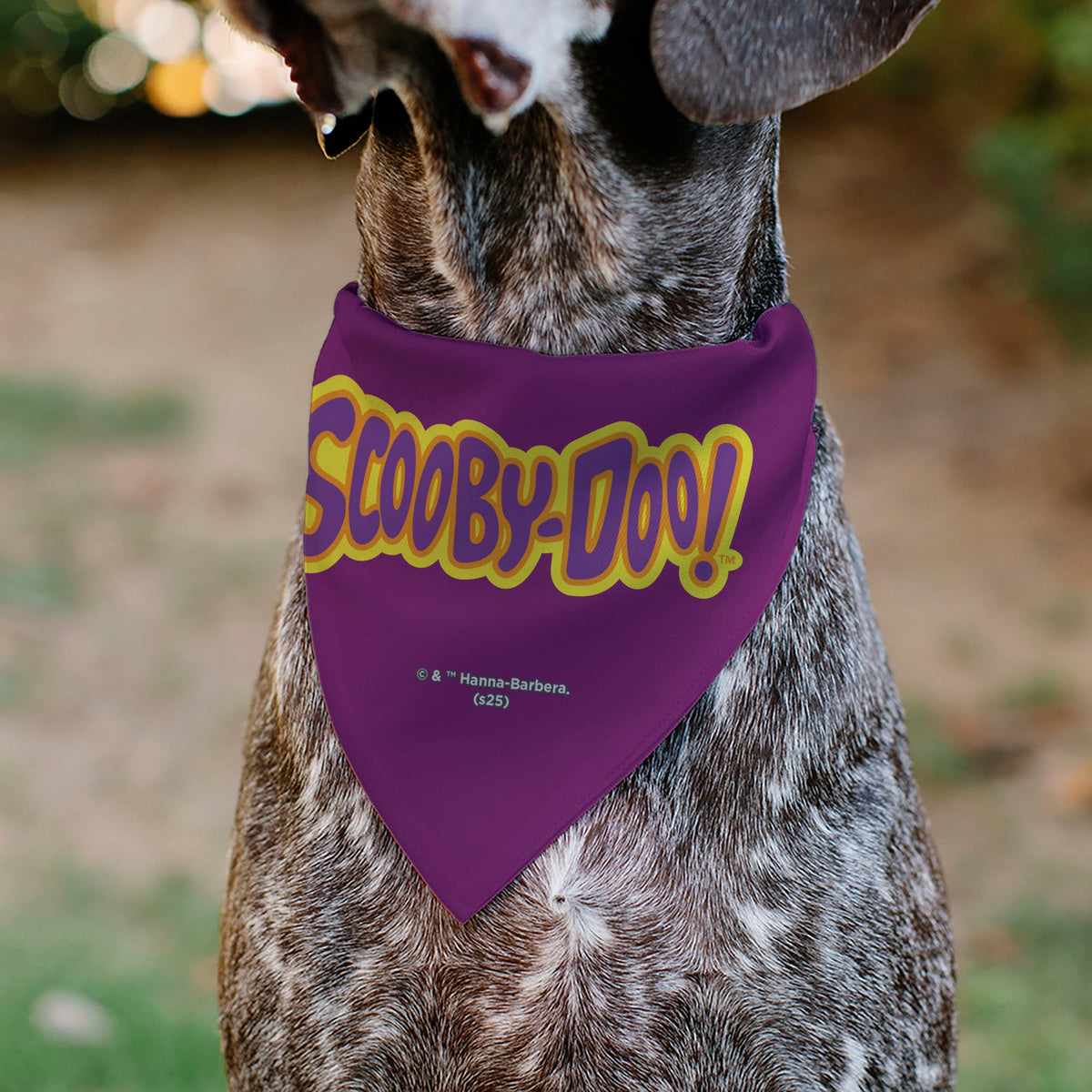 Pet Bandana - Scooby-Doo Laughing and Shaggy Screaming Pose Yellow | HT Animal Supply