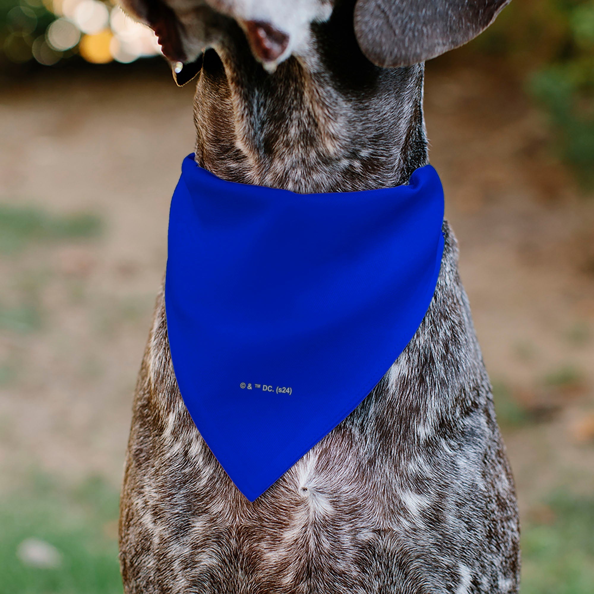 Pet Bandana - Superman Shield Logo Blue/Red/Yellow 