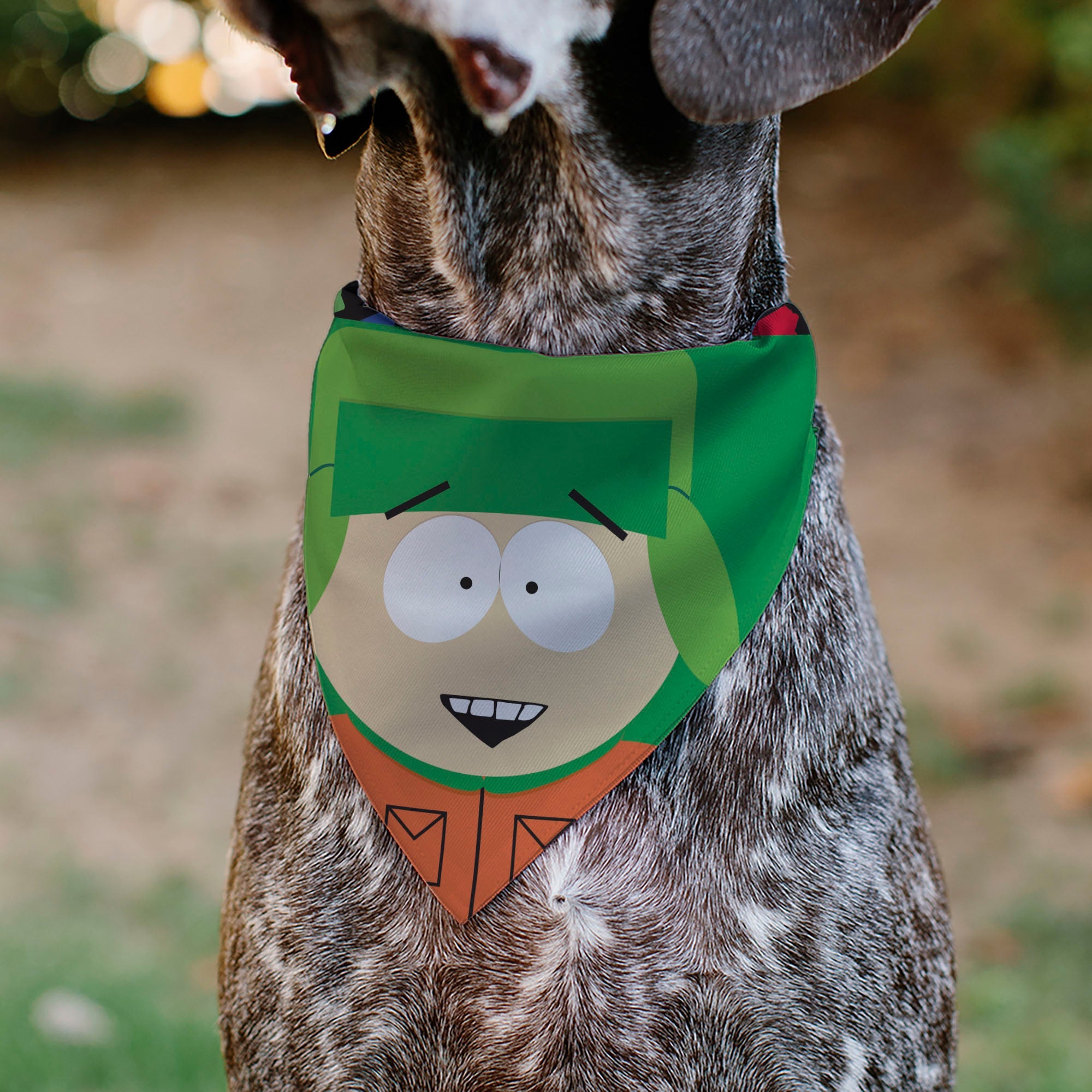 Pet Bandana - South Park Kyle Face Close-Up Greens