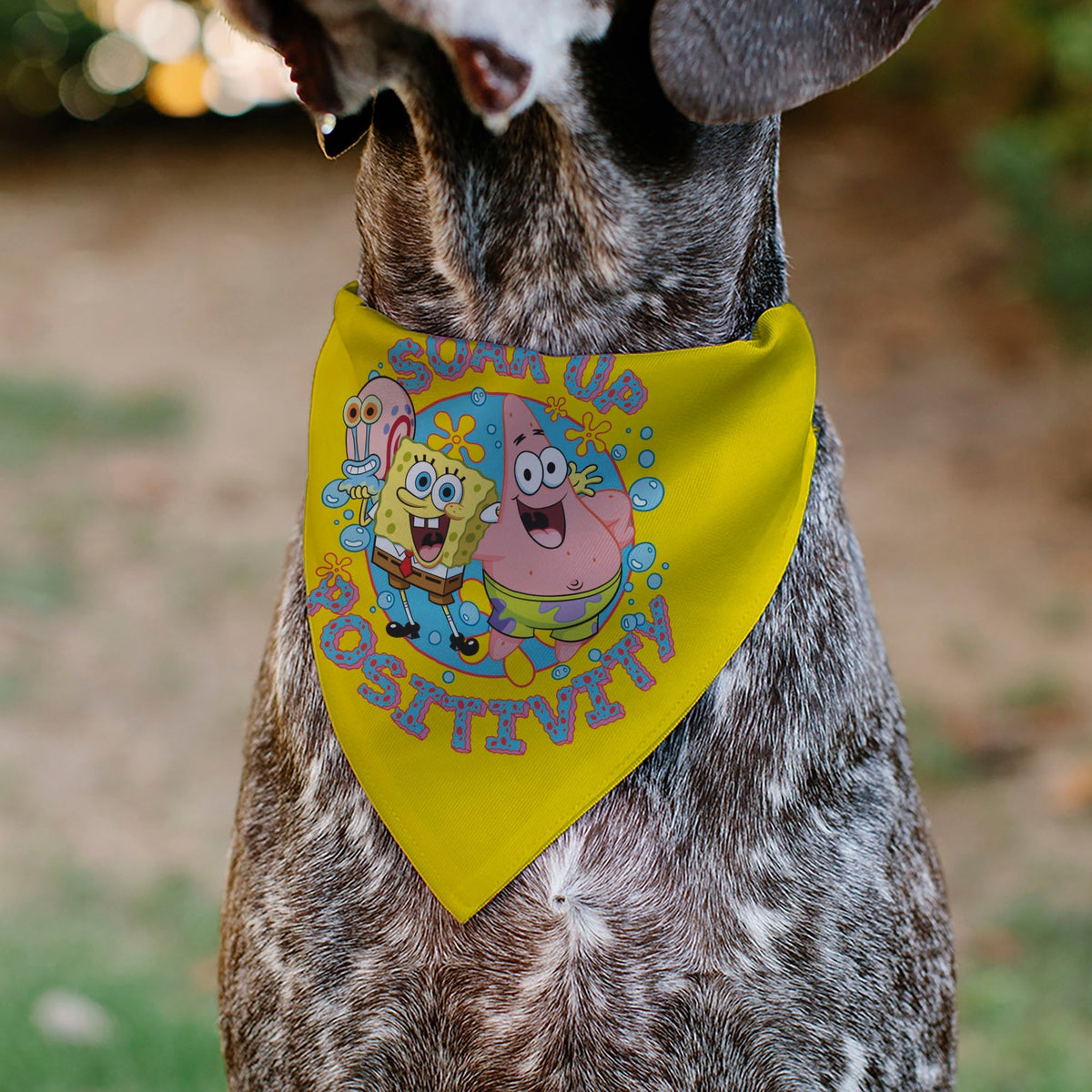 Pet Bandana - SpongeBob SquarePants and Friends SOAK UP POSITIVITY Pose Yellow 