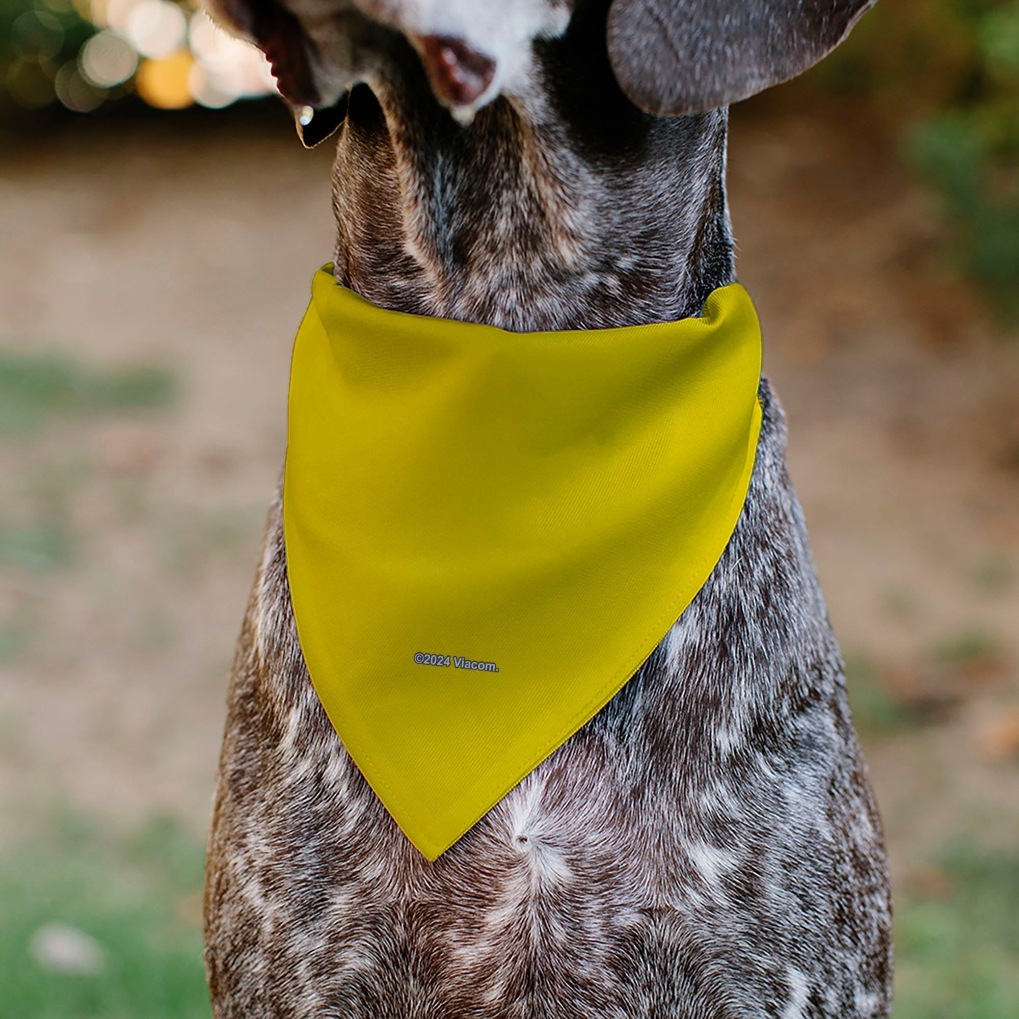 Pet Bandana - SpongeBob SquarePants and Friends SOAK UP POSITIVITY Pose Yellow 