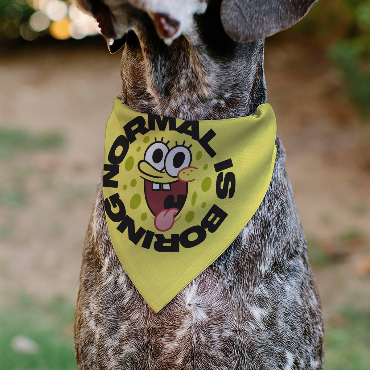 Pet Bandana - SpongeBob SquarePants NORMAL IS BORING Pose Yellows 