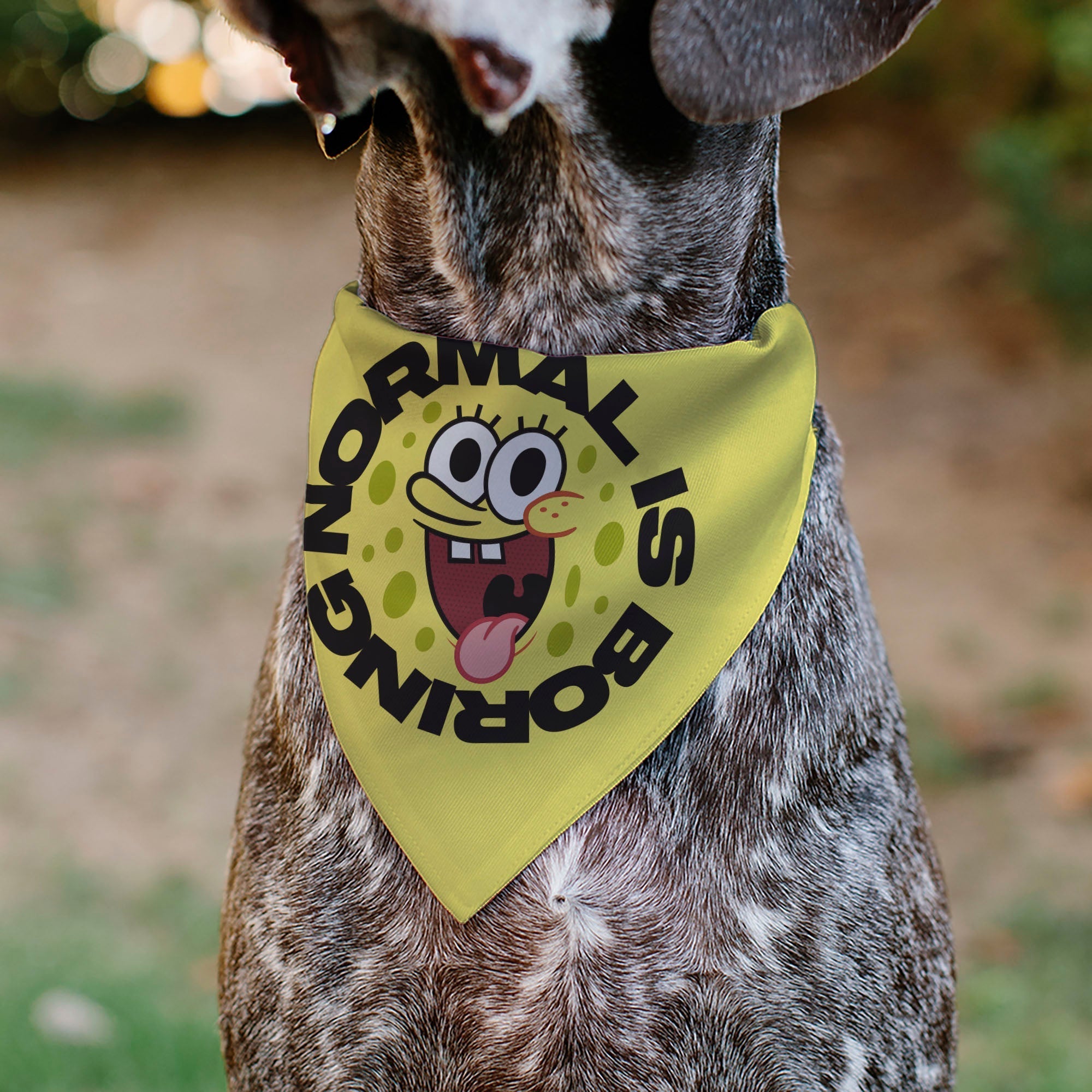 Pet Bandana - SpongeBob SquarePants NORMAL IS BORING Pose Yellows 