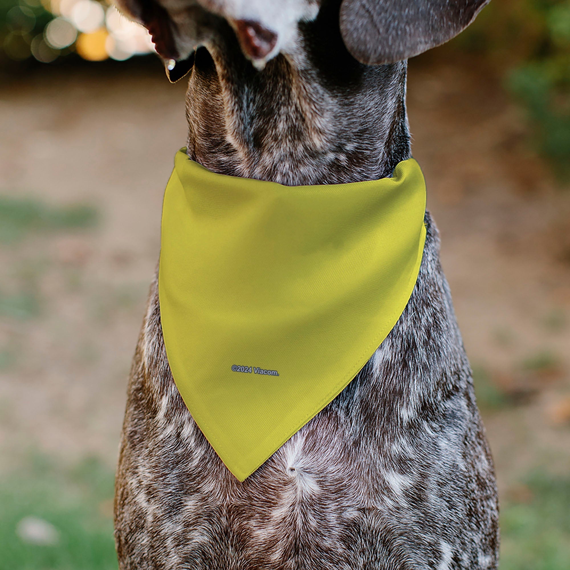 Pet Bandana - SpongeBob SquarePants SPSP $B Chain Pose Yellow 