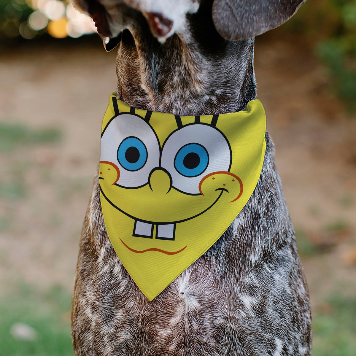 Pet Bandana - SpongeBob SquarePants Face Close-Up Yellow 