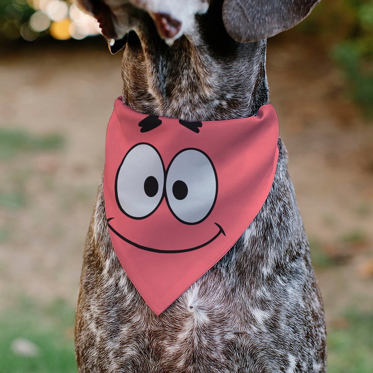 Pet Bandana - SpongeBob SquarePants Patrick Star Face Close-Up Pink 