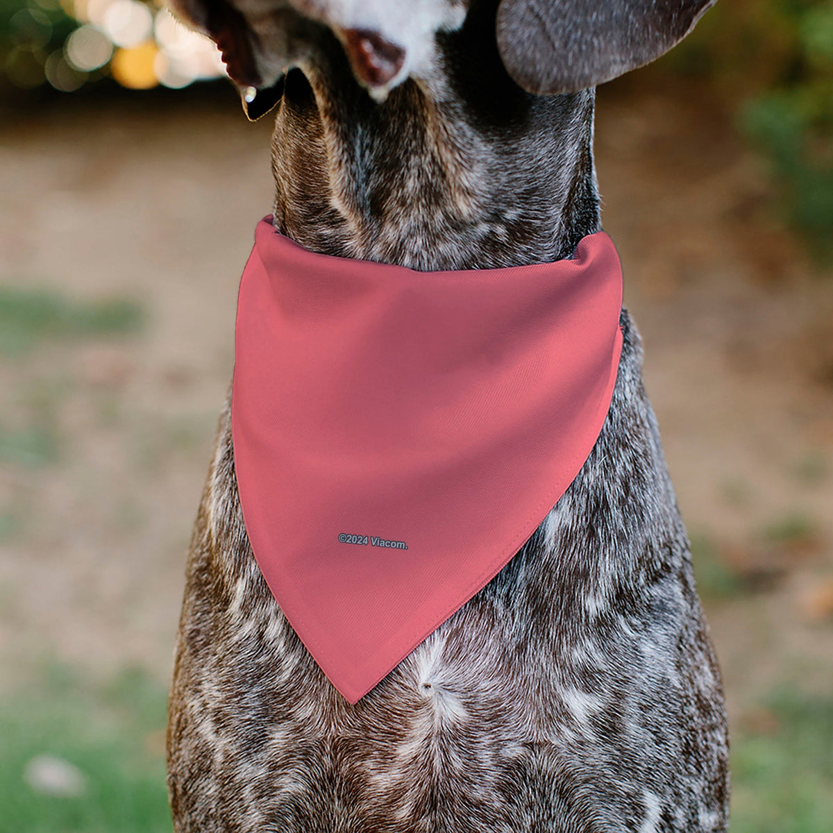 Pet Bandana - SpongeBob SquarePants Patrick Star Face Close-Up Pink 