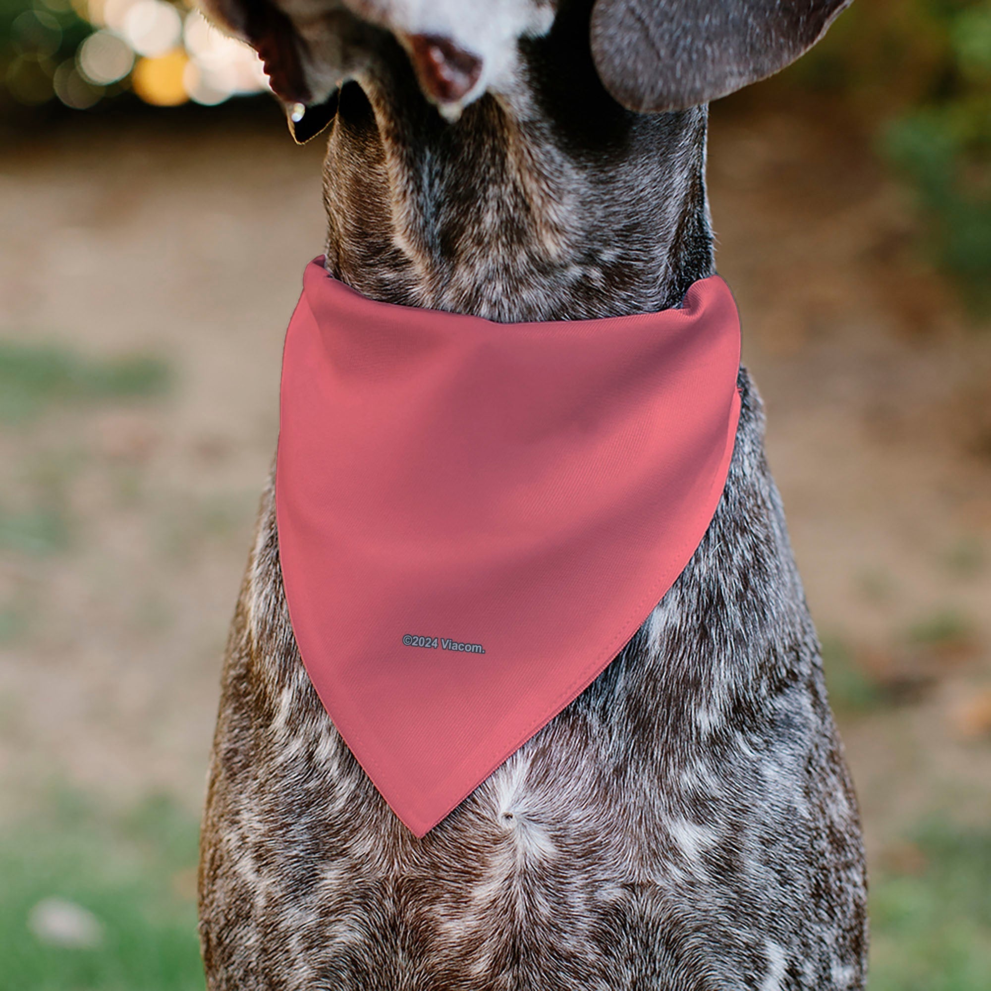 Pet Bandana - SpongeBob SquarePants Patrick Star Face Close-Up Pink 