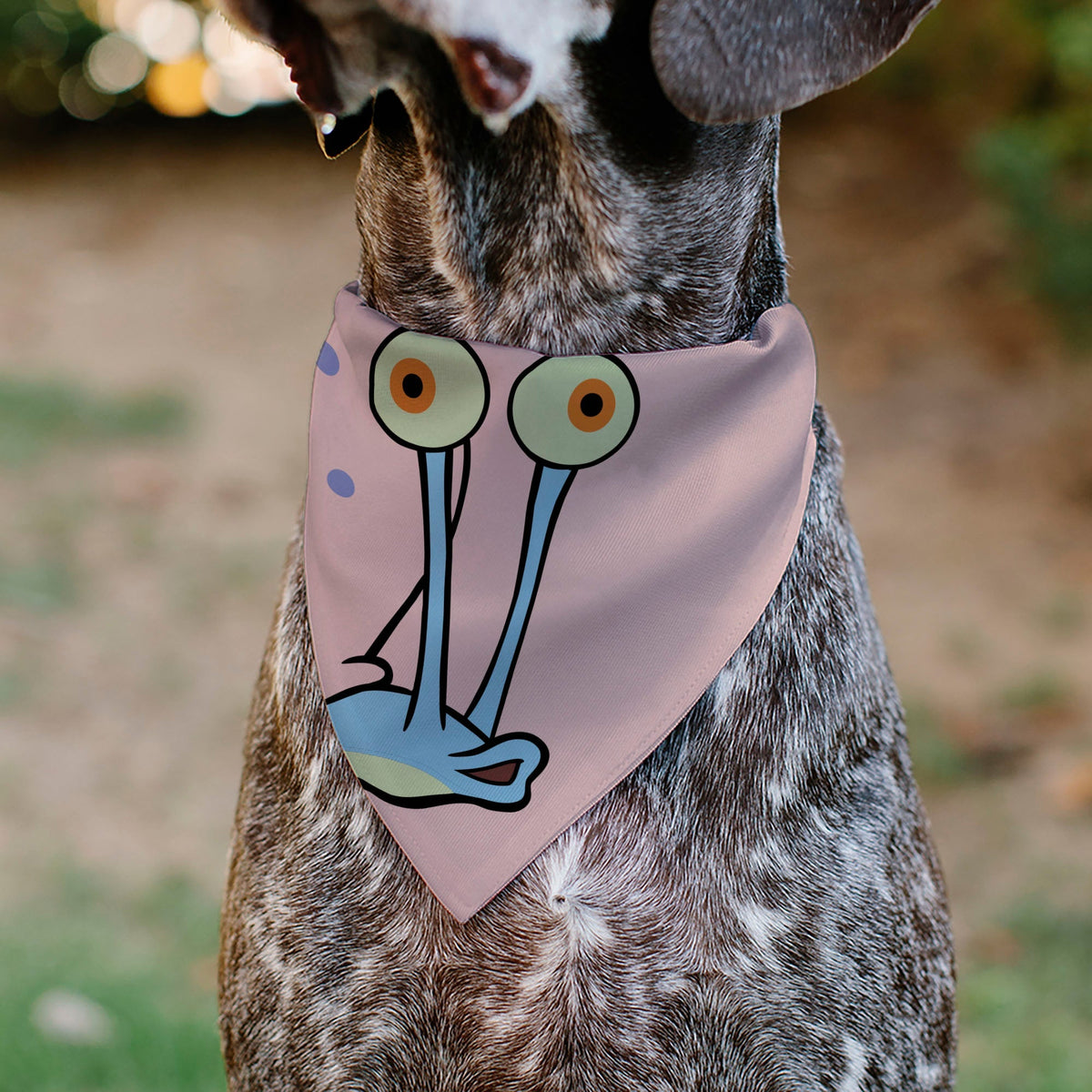 Pet Bandana - SpongeBob SquarePants Gary the Snail Face Close-Up Pink 