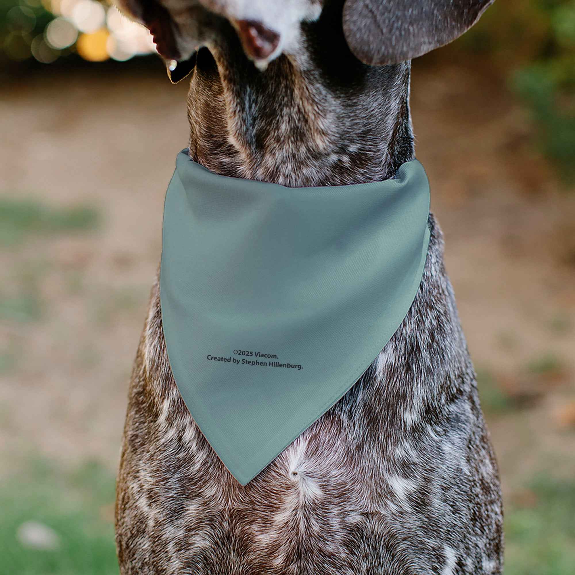 Buckle-Down SpongeBob SquarePants Squidward Character Close-Up Blue Over-the-Collar Dog Bandana