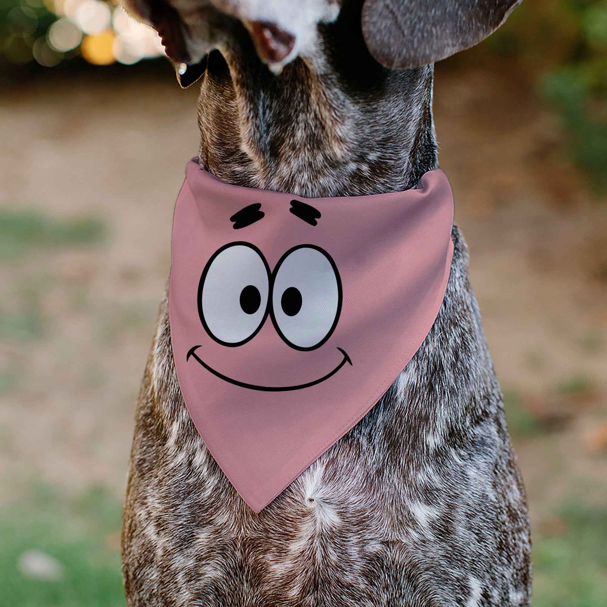 Buckle-Down SpongeBob SquarePants Patrick Star Character Close-Up Pink Over-the-Collar Dog Bandana