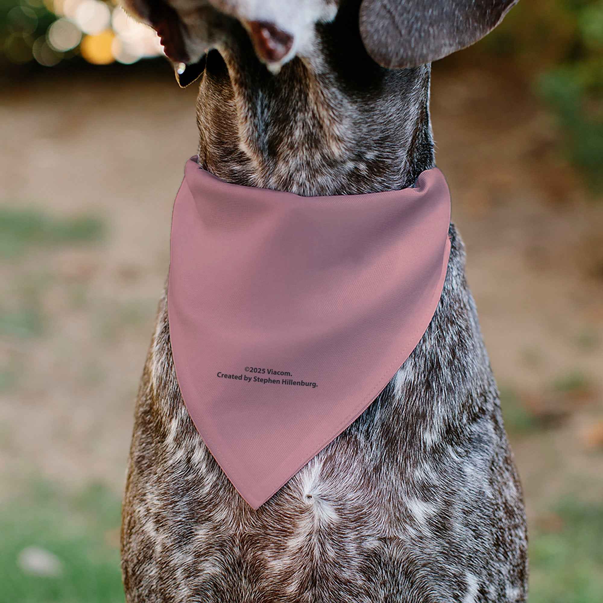 Buckle-Down SpongeBob SquarePants Patrick Star Character Close-Up Pink Over-the-Collar Dog Bandana