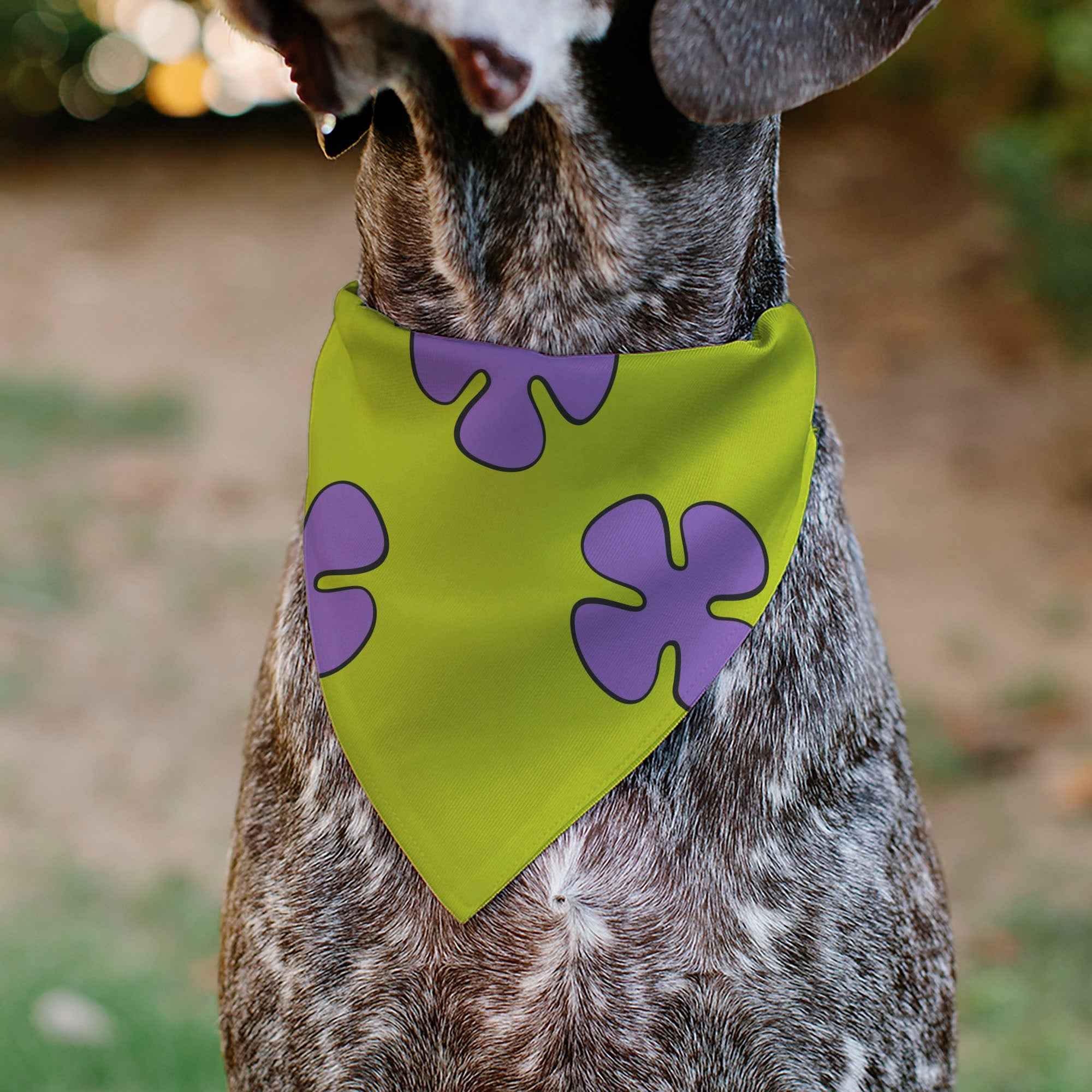 Buckle-Down Patrick Star Shorts Flower Icon Green/Lavender Over-the-Collar Dog Bandana