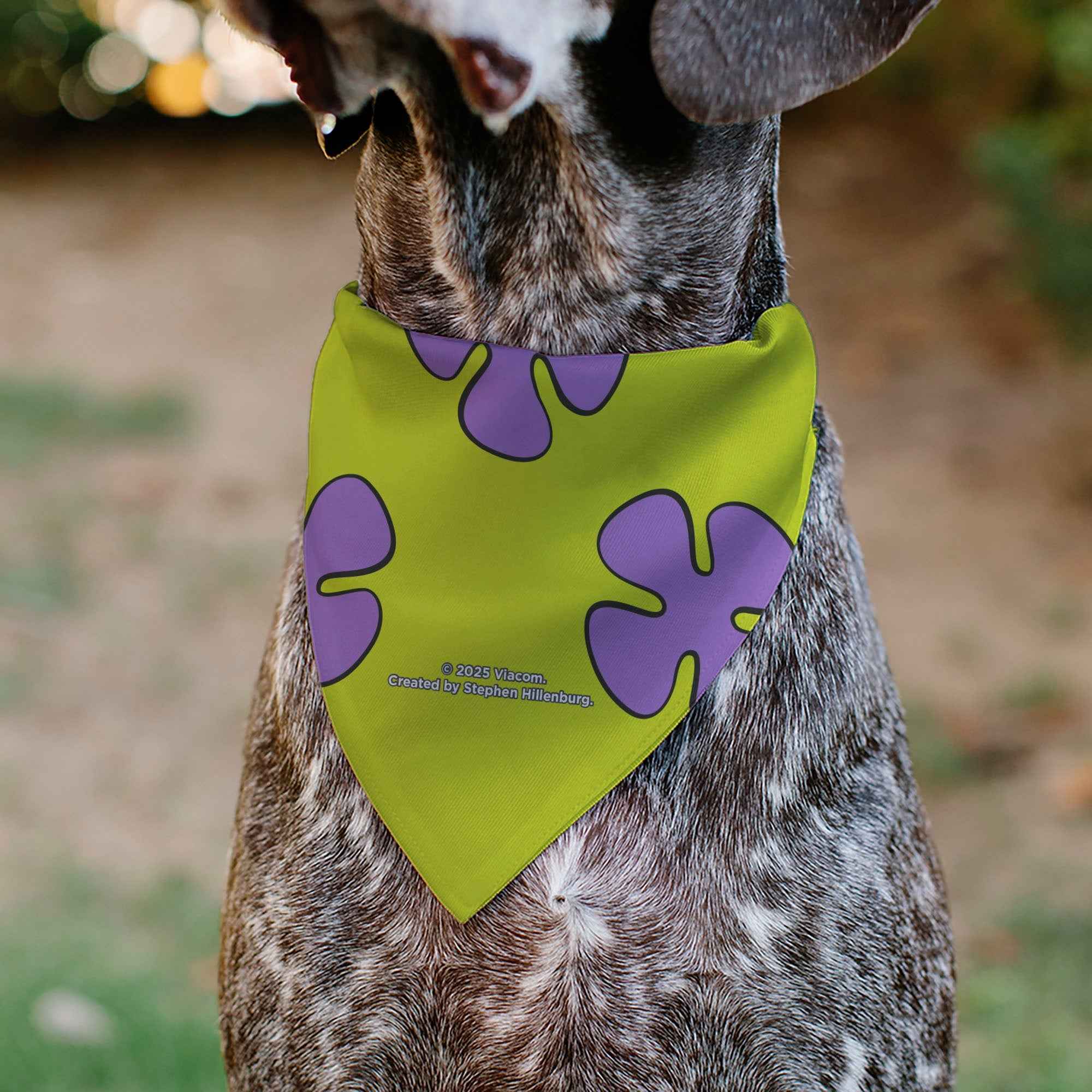 Buckle-Down Patrick Star Shorts Flower Icon Green/Lavender Over-the-Collar Dog Bandana