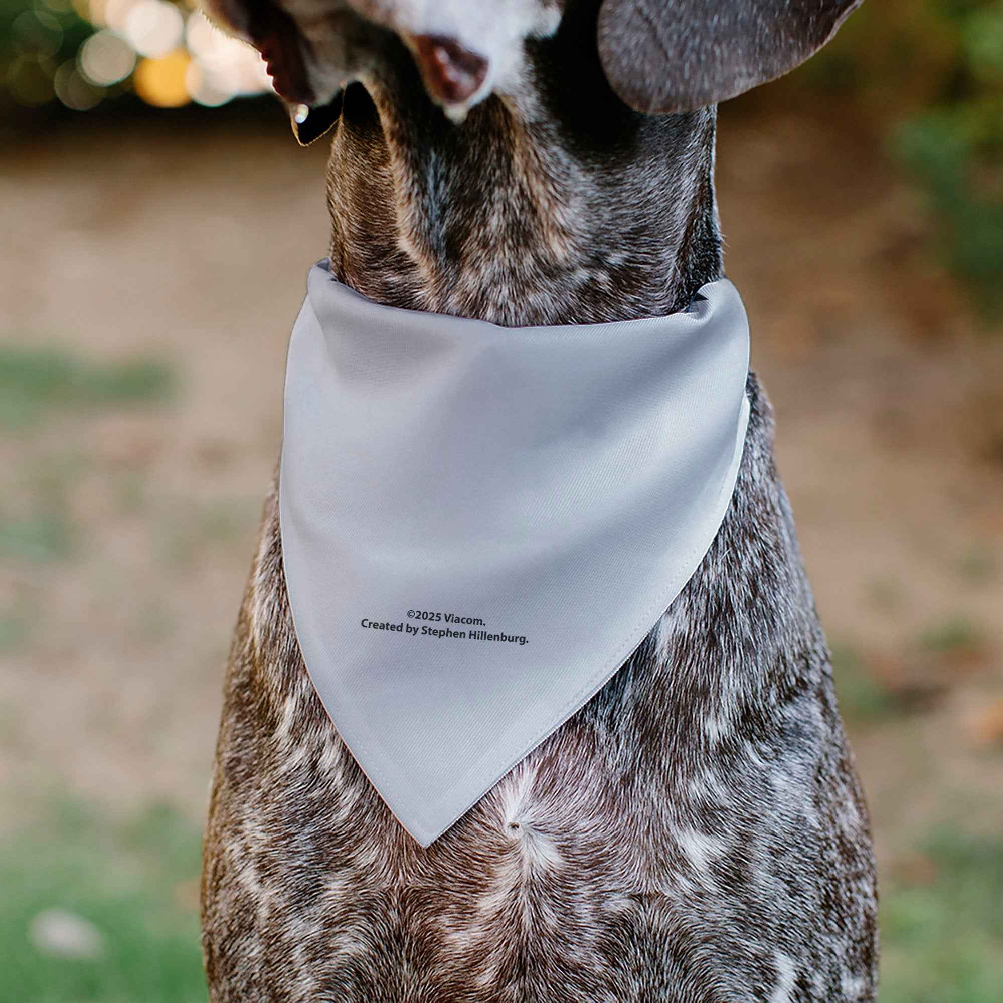 Buckle-Down SpongeBob SquarePants Tie Outfit Character Close-Up Over-the-Collar Dog Bandana