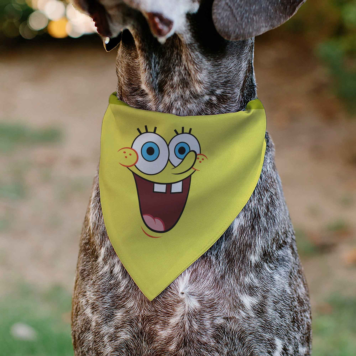 Pet Bandana - SpongeBob SquarePants Excited Smile Expression Yellow