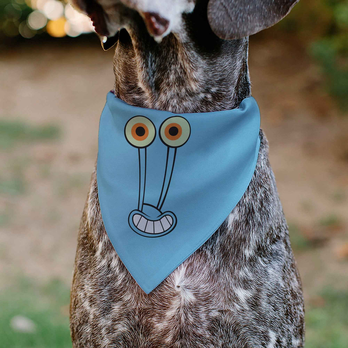 Pet Bandana - GARY the Snail Smiling Face Close-Up and Text Blue/Pinks