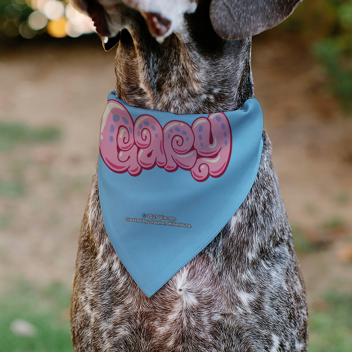 Pet Bandana - GARY the Snail Smiling Face Close-Up and Text Blue/Pinks | HT Animal Supply