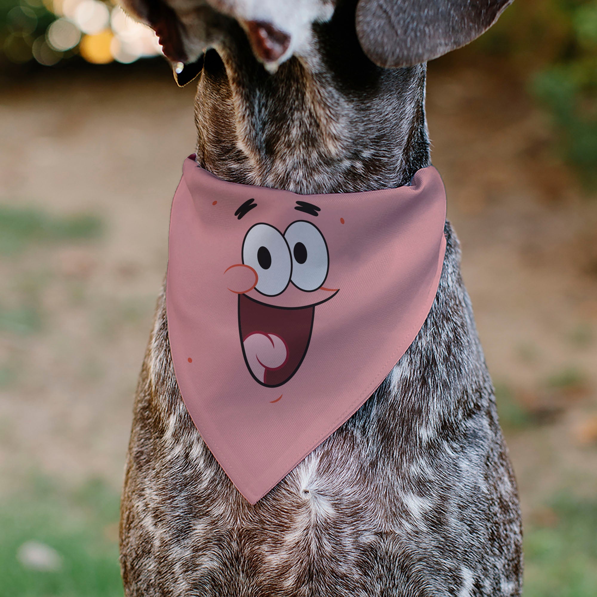 Buckle-Down Patrick Star Smiling Face Close-Up and Text Pinks/Reds Over-the-Collar Dog Bandana