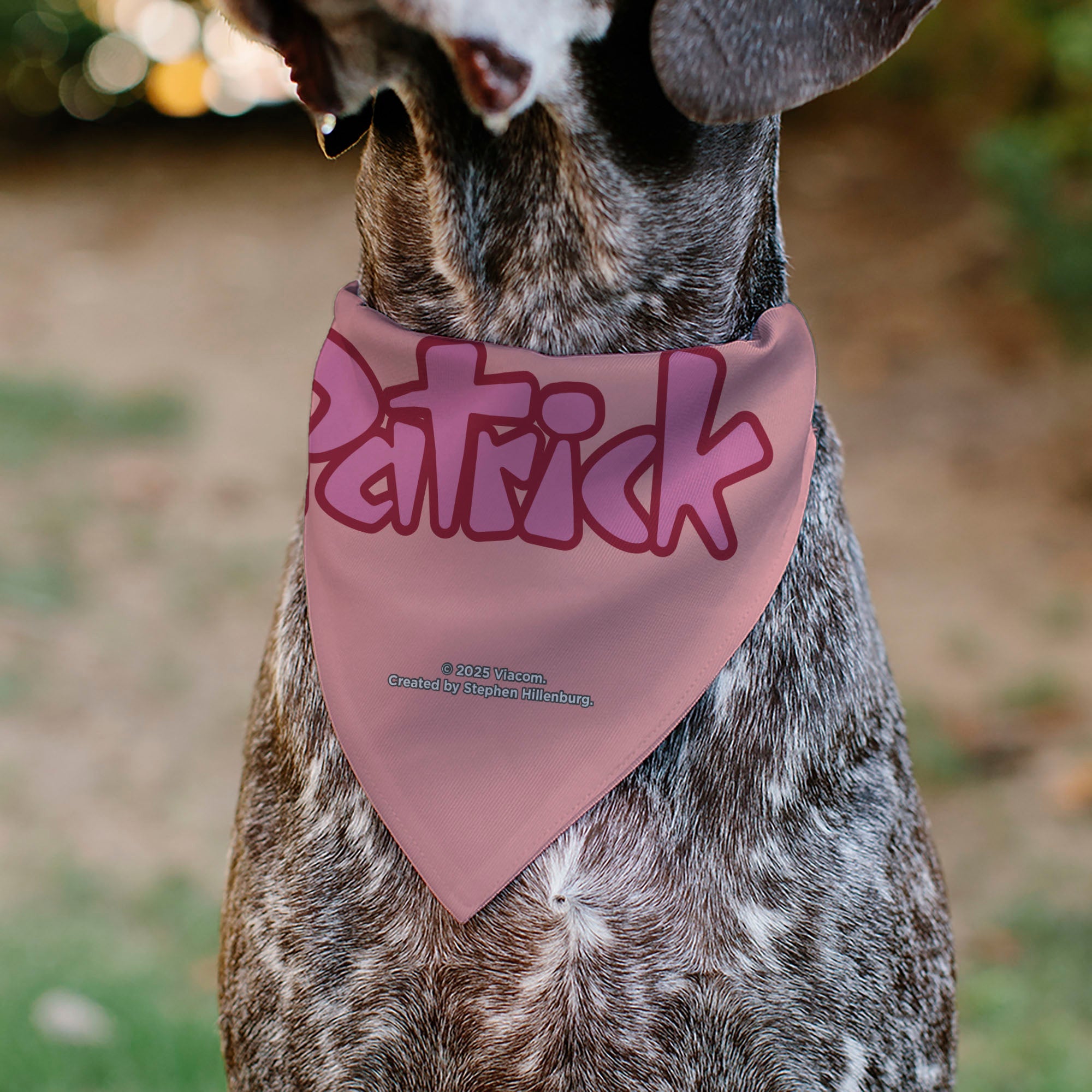 Buckle-Down Patrick Star Smiling Face Close-Up and Text Pinks/Reds Over-the-Collar Dog Bandana