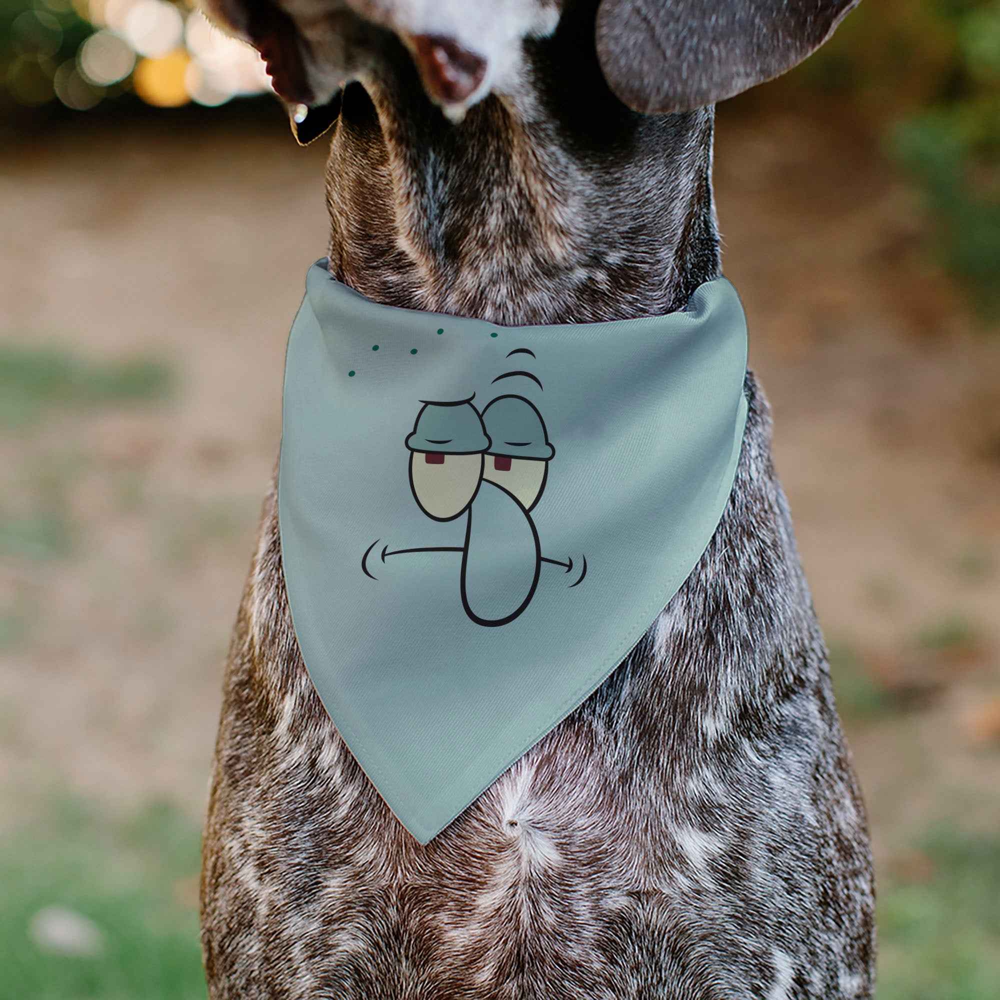 Pet Bandana - SQUIDWARD Frowning Face Close-Up and Text Blues