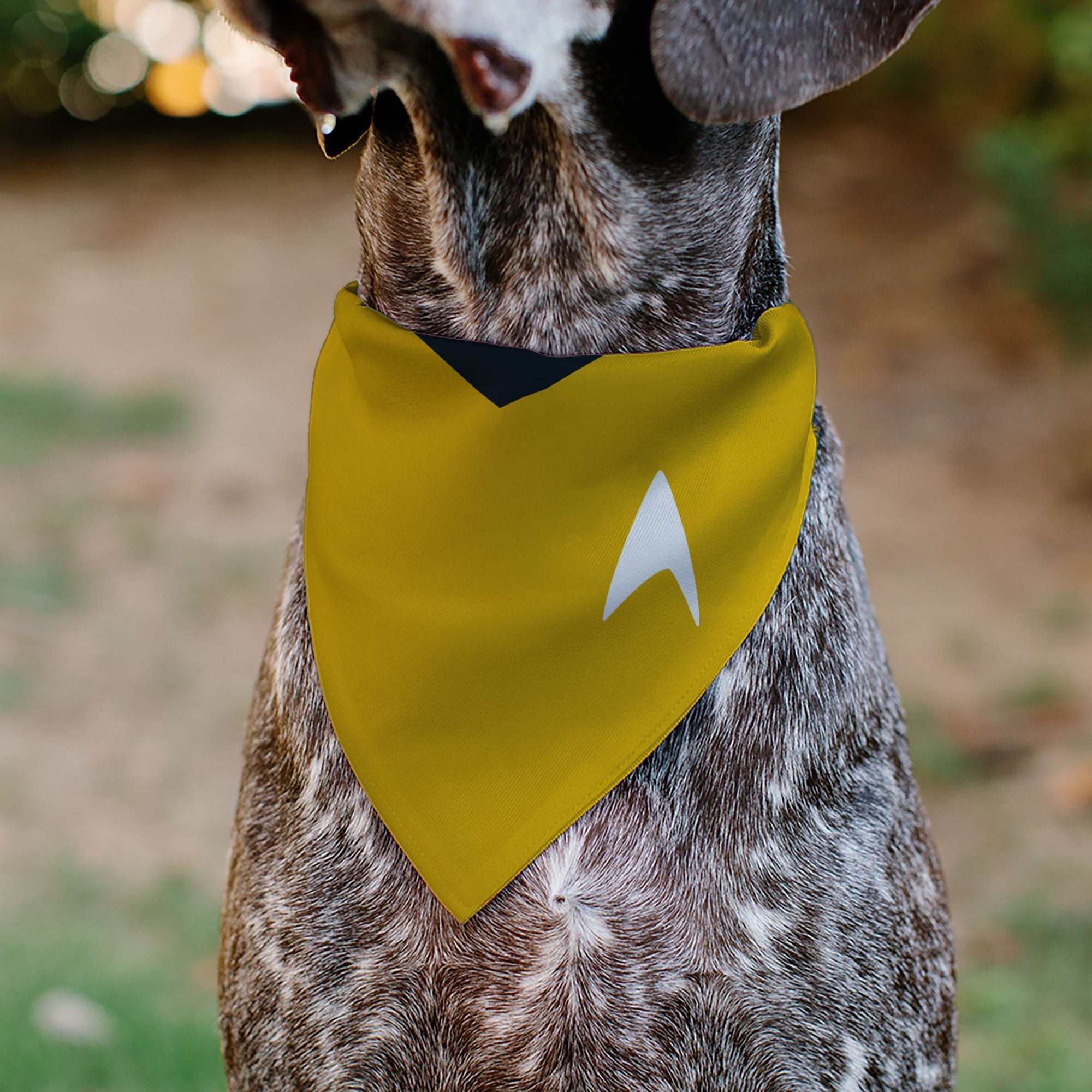 Pet Bandana - Star Trek Original Series Golden Yellow Uniform Print 