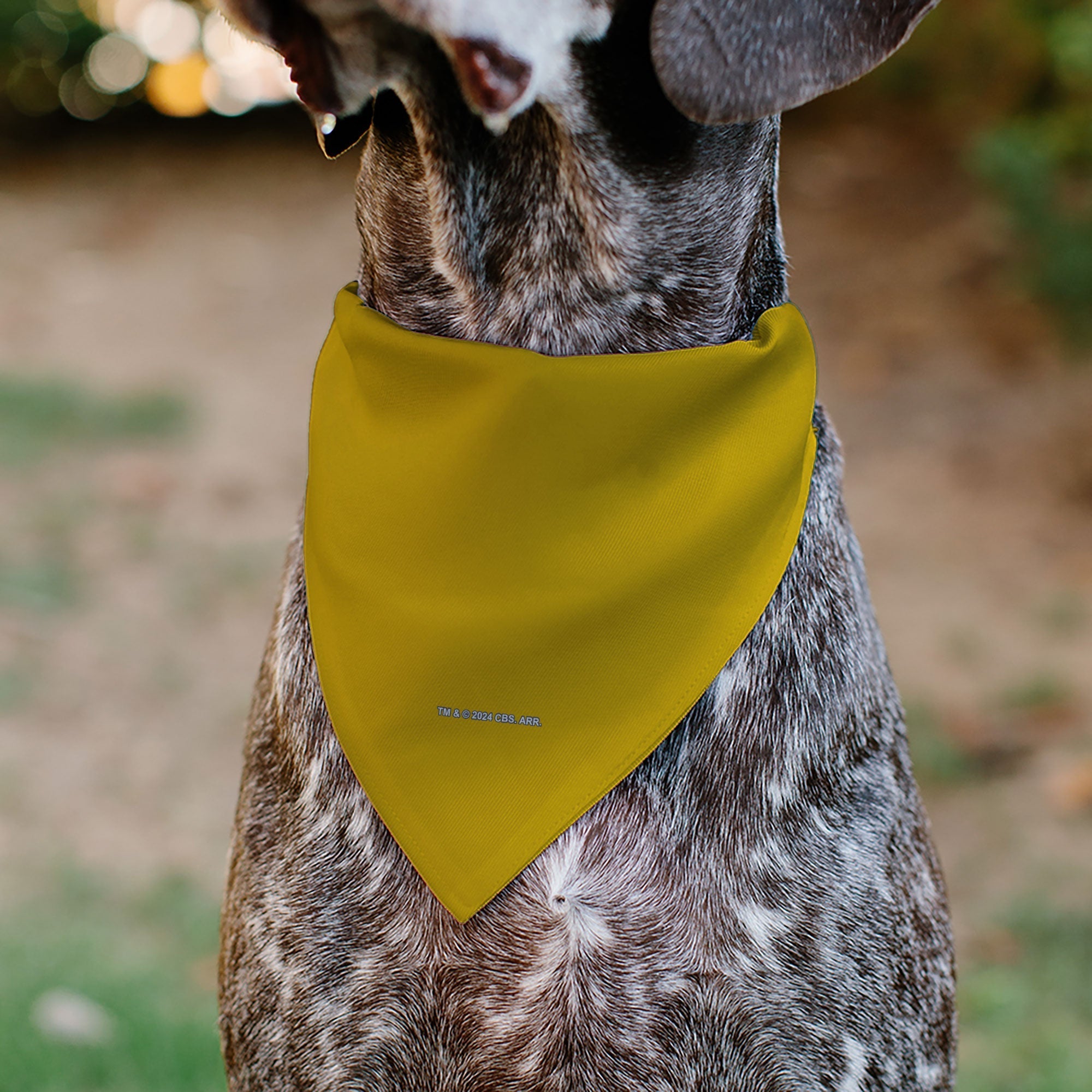 Pet Bandana - Star Trek Original Series Golden Yellow Uniform Print 