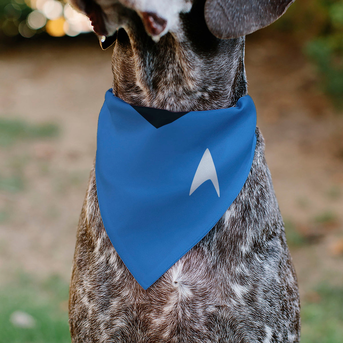 Pet Bandana - Star Trek Original Series Blue Uniform Print 