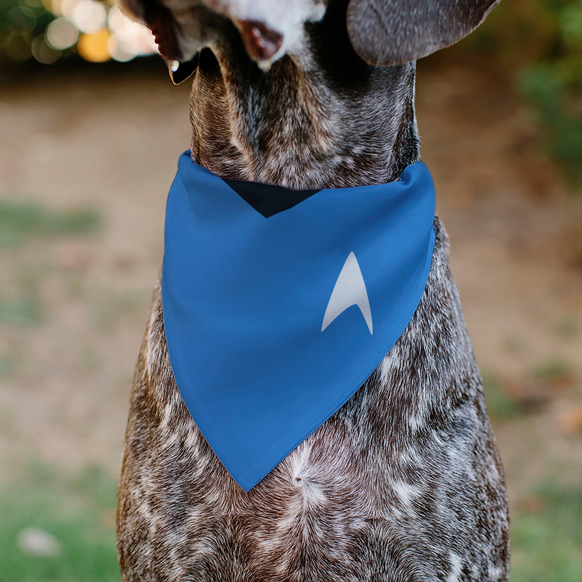 Pet Bandana - Star Trek Original Series Blue Uniform Print 