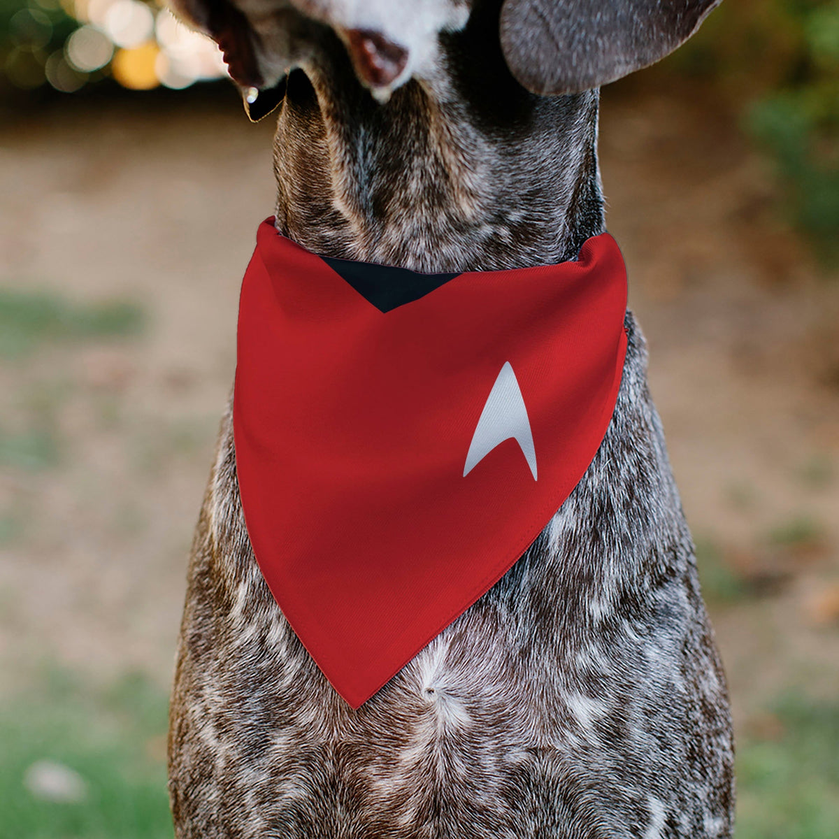 Pet Bandana - Star Trek Original Series Red Uniform Print 