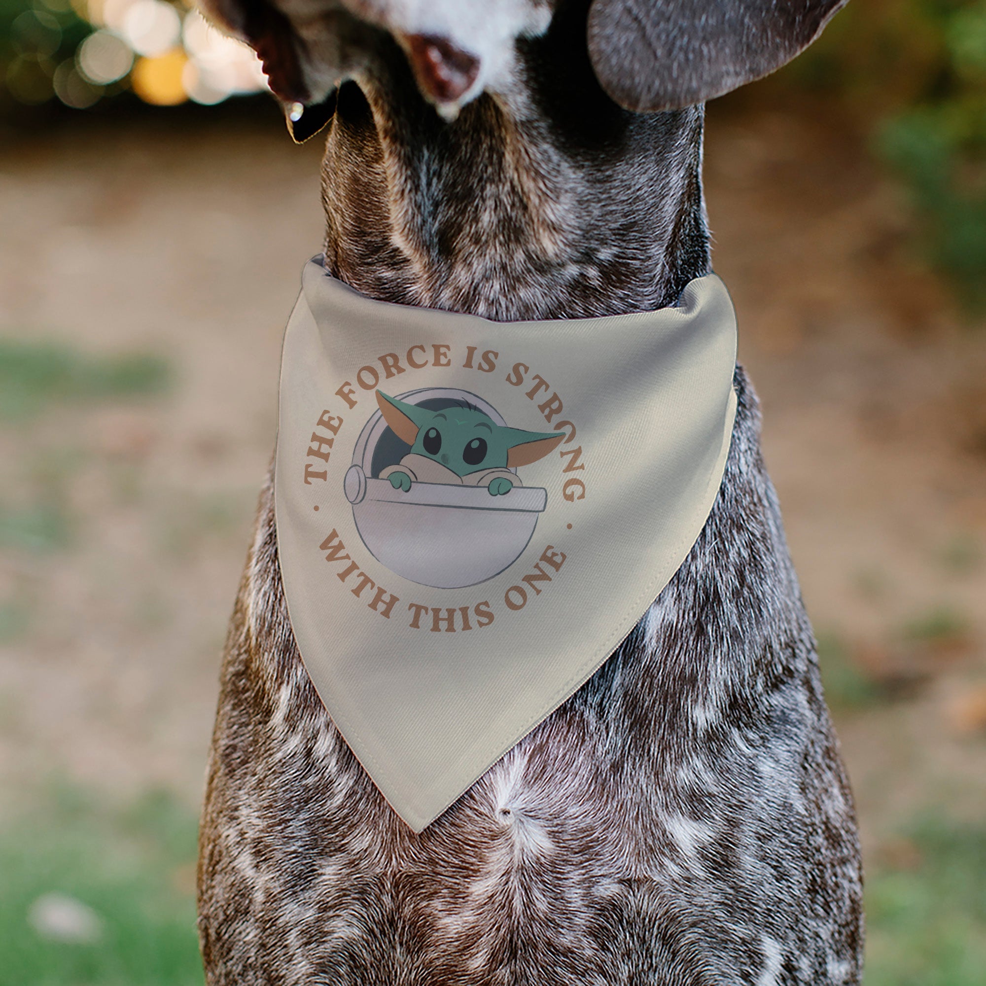 Buckle-Down Star Wars The Mandalorian The Force Is Strong Grogu Pod Pose Beige/Tans Over-the-Collar Dog Bandana