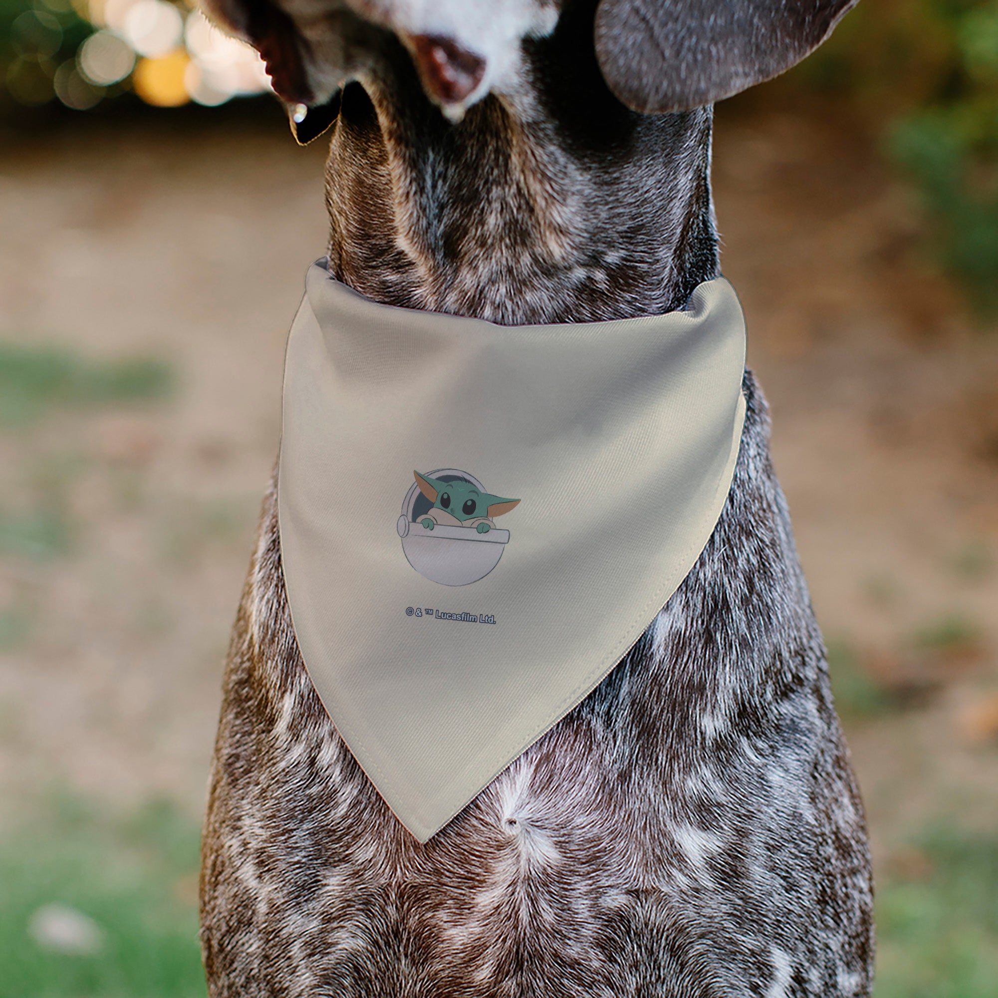 Buckle-Down Star Wars The Mandalorian The Force Is Strong Grogu Pod Pose Beige/Tans Over-the-Collar Dog Bandana