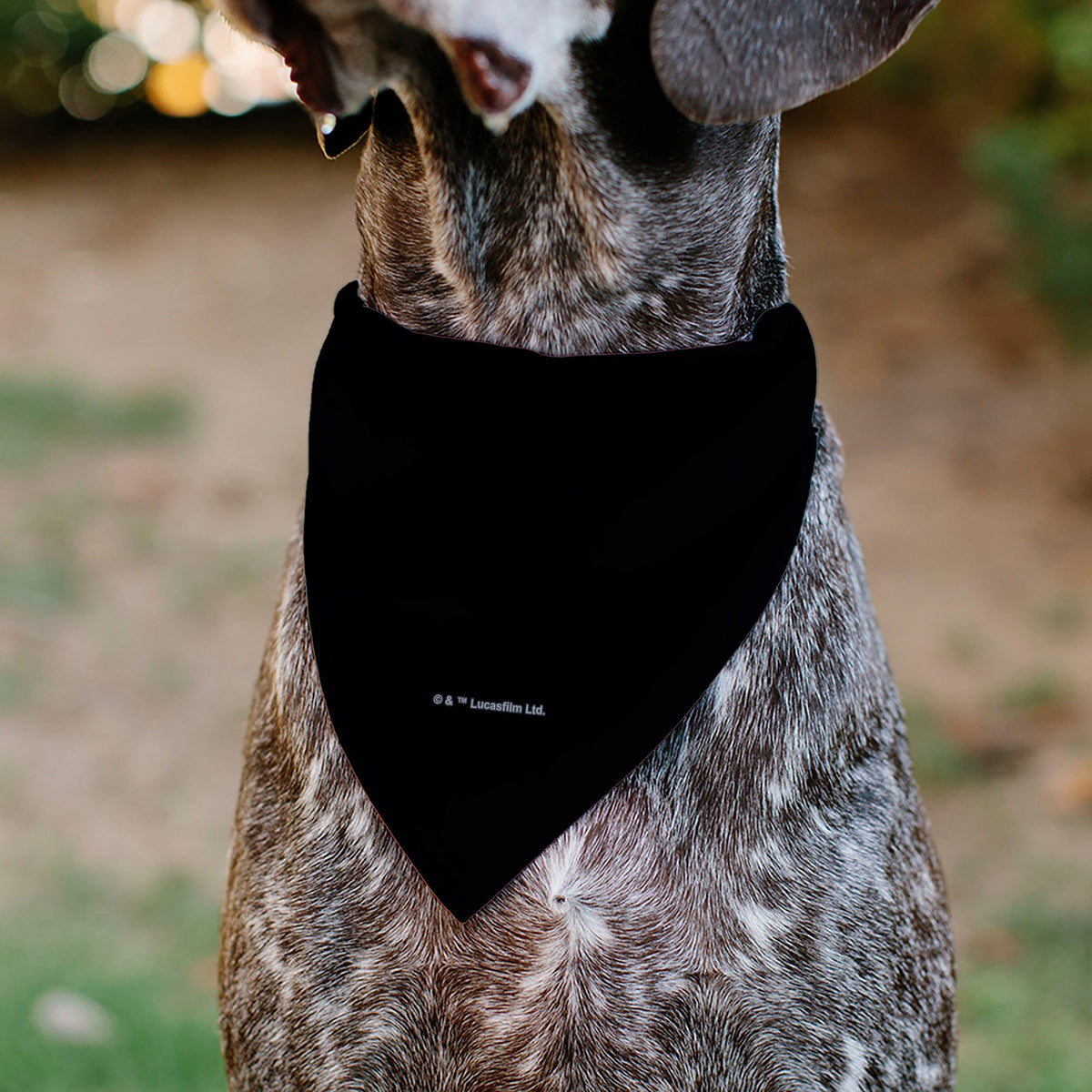 Pet Bandana - Star Wars Grogu Baby Yoda Smiling Impression Painting Black 
