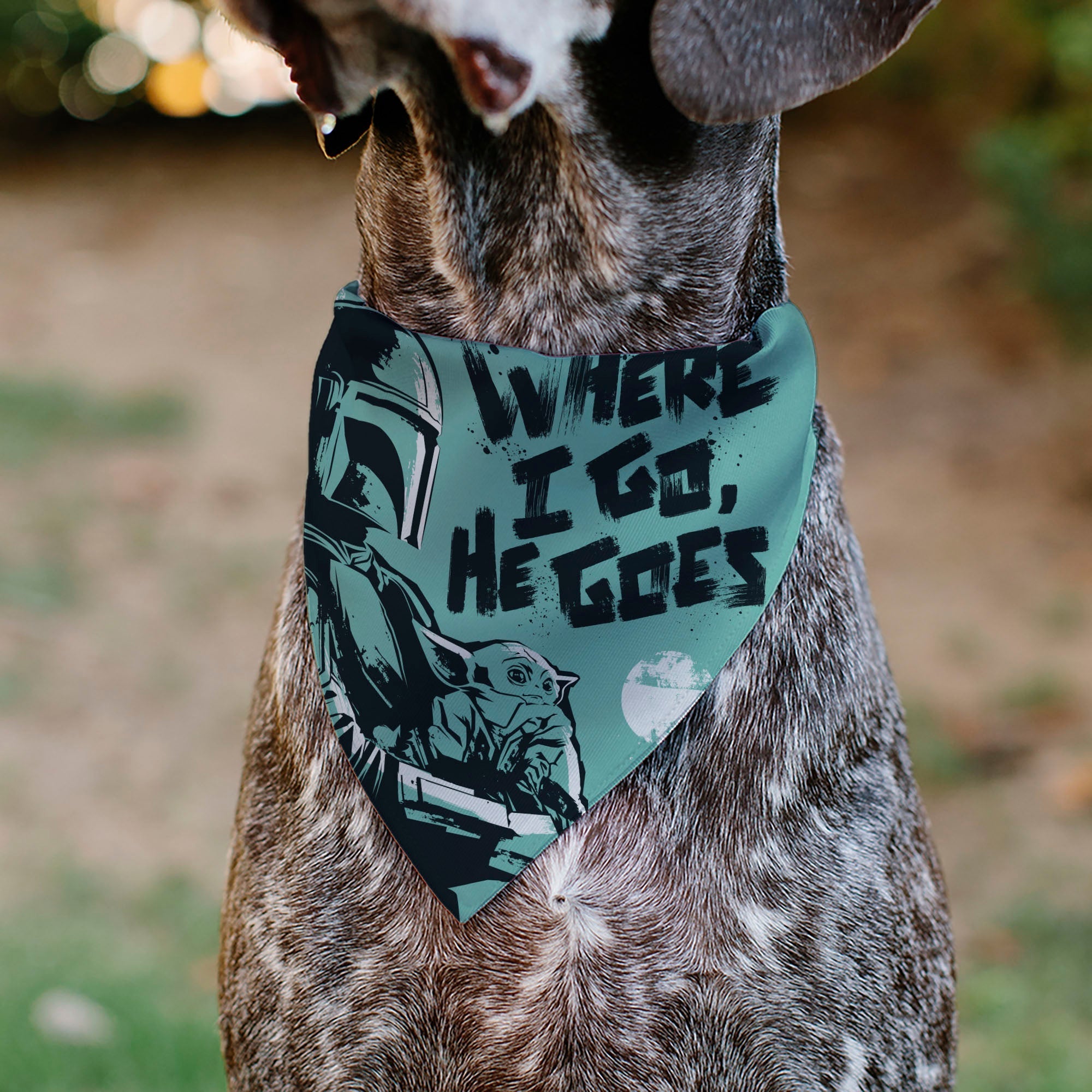 Pet Bandana - Star Wars The Madalorian and Grogu WHERE HE GOES I GO Pose Blue/Black 