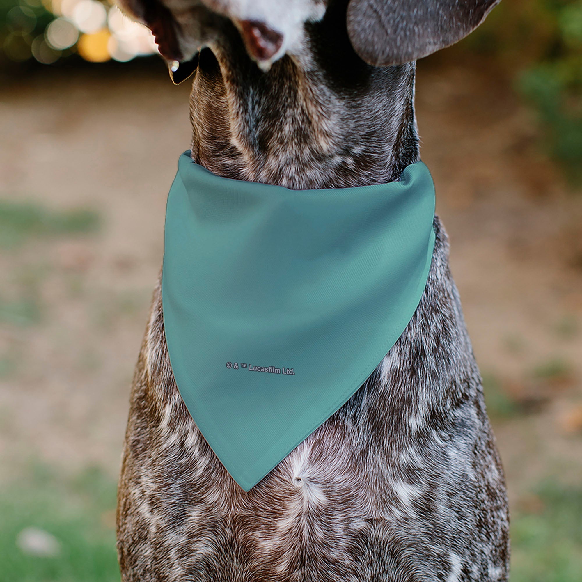 Pet Bandana - Star Wars The Madalorian and Grogu WHERE HE GOES I GO Pose Blue/Black 