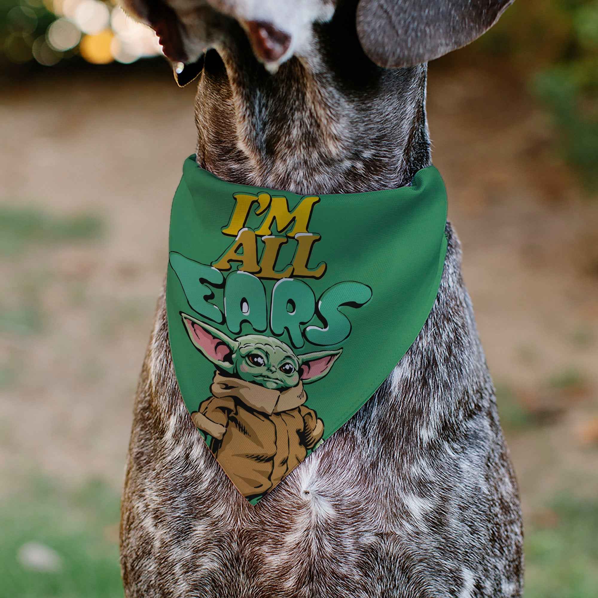Buckle-Down Star Wars Grogu Im All Ears Pose Green Over-the-Collar Dog Bandana