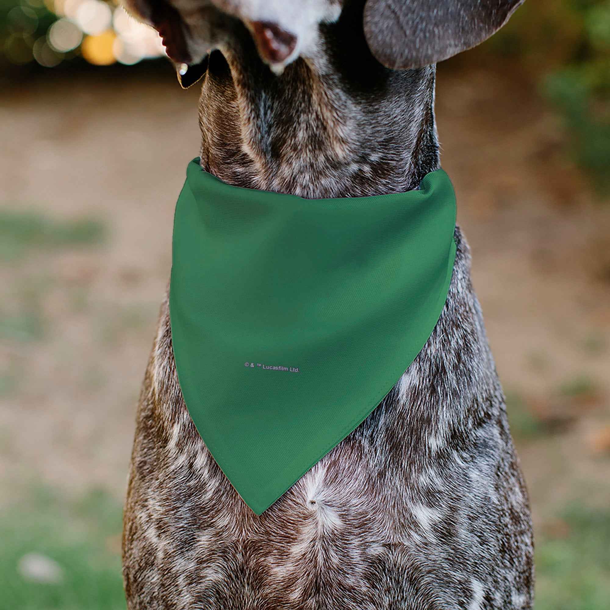 Buckle-Down Star Wars Grogu Im All Ears Pose Green Over-the-Collar Dog Bandana