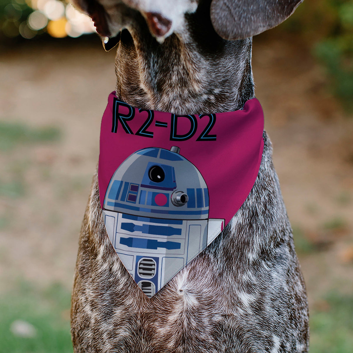 Pet Bandana - Star Wars R2-D2 Text and Pop Art Pose Red/Black/Blue 