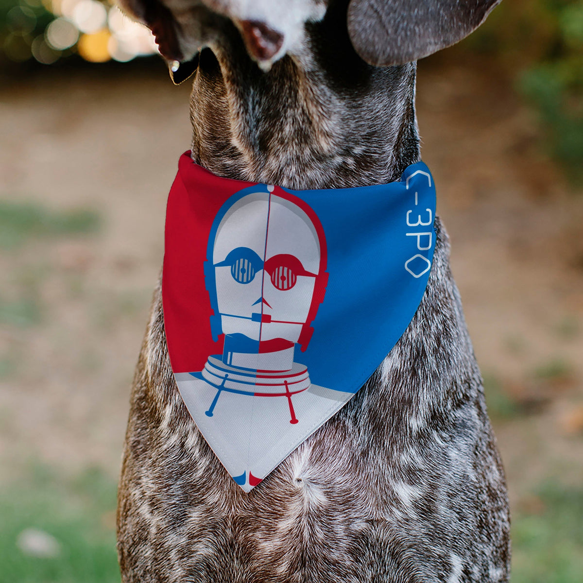 Pet Bandana - Star Wars DROID C-3PO Text and Pop Art Pose Red/Blue/White 