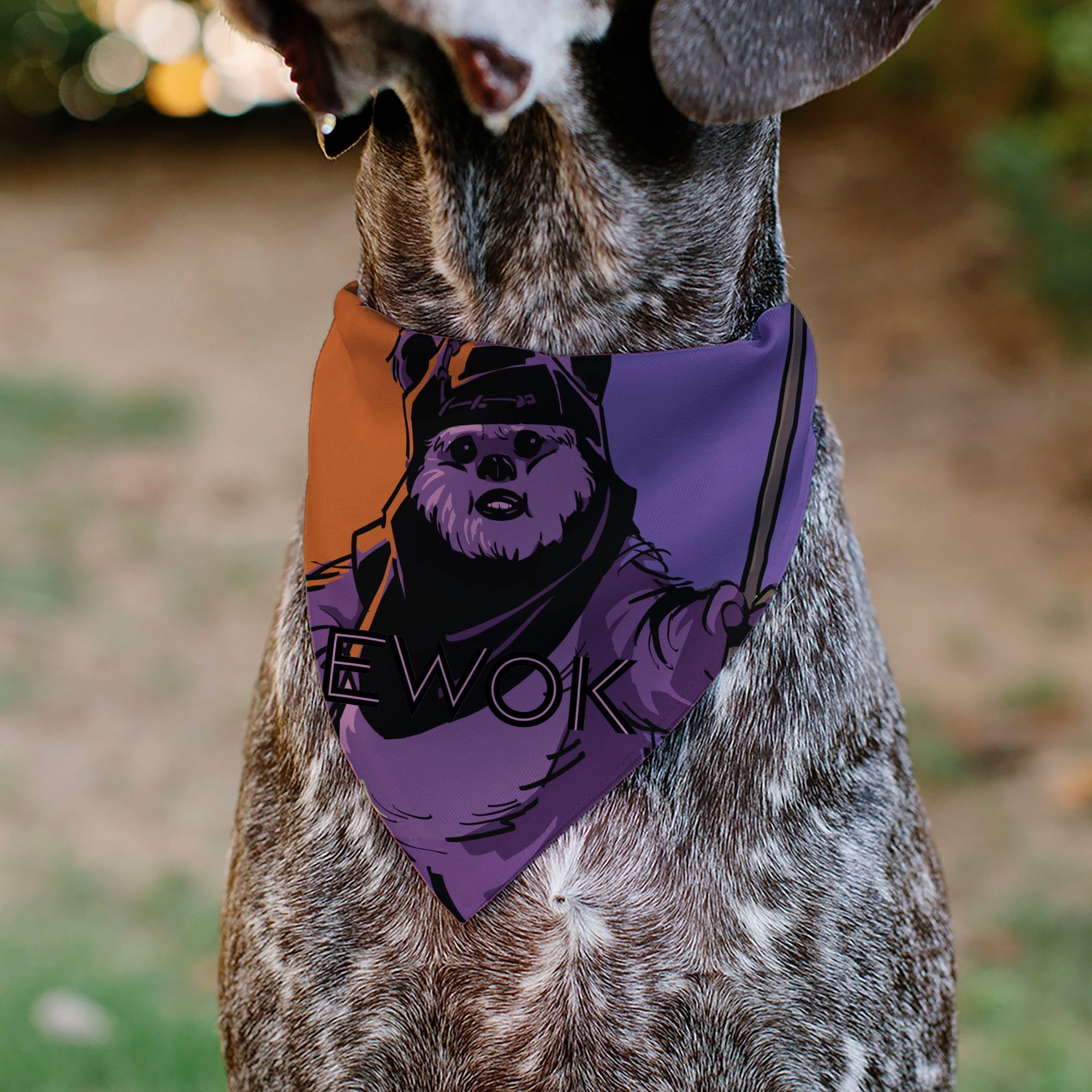 Pet Bandana - Star Wars EWOK Text and Wicket Pop Art Pose Orange/Purples/Black 