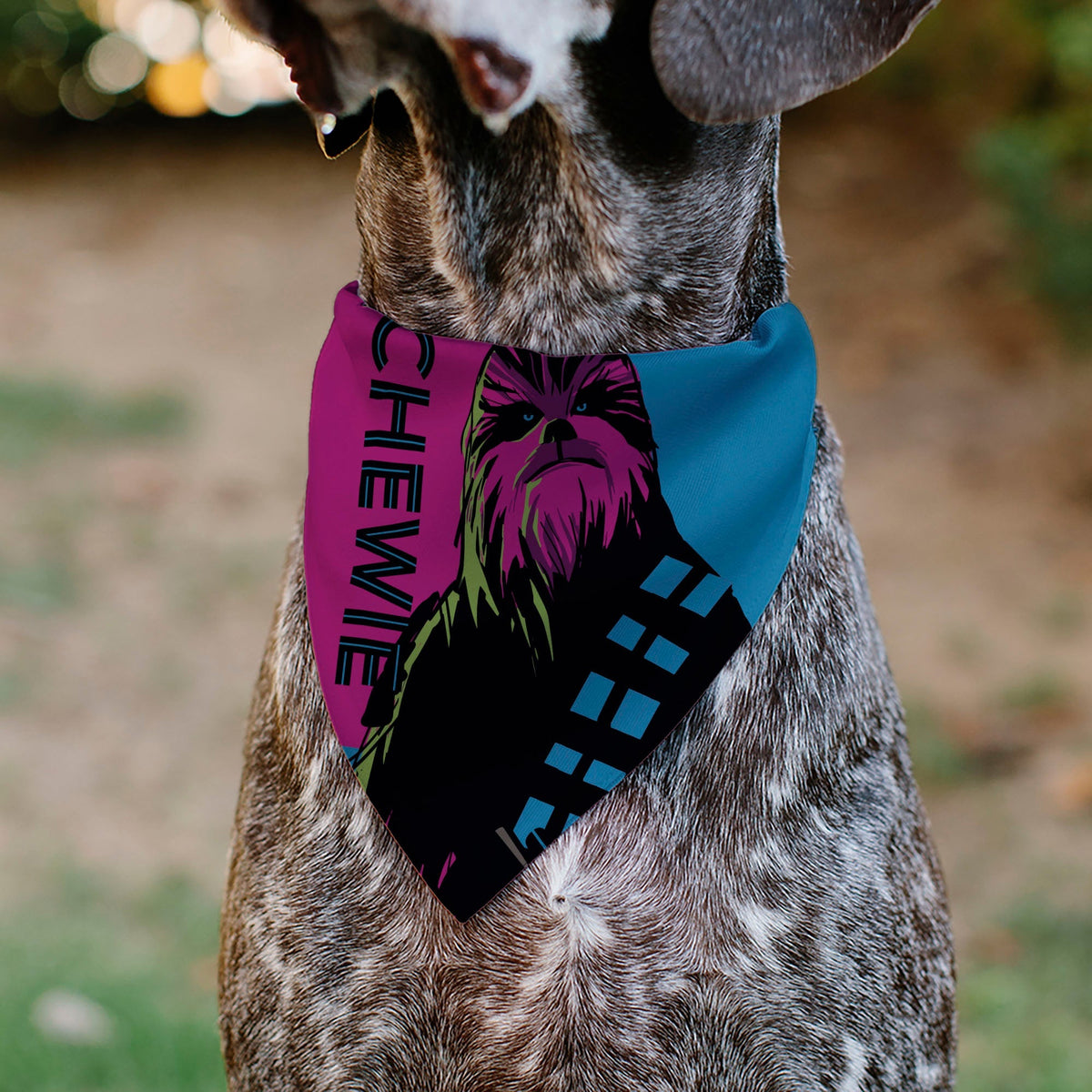 Pet Bandana - Star Wars CHEWIE Text and Chewbacca Pop Art Pose Red/Blue/Black 