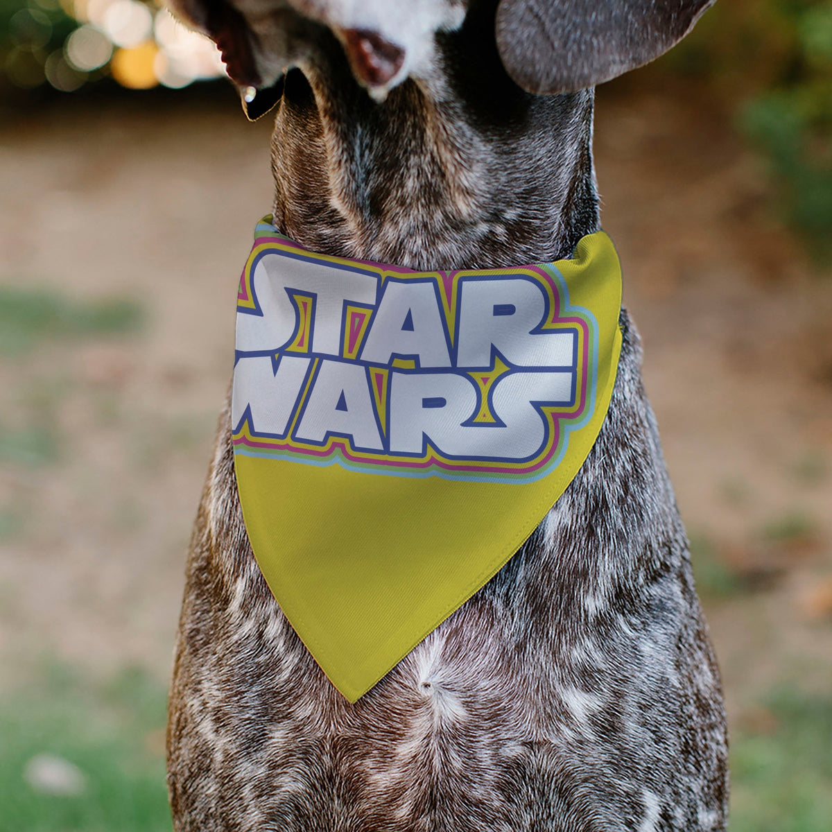 Pet Bandana - STAR WARS Title Logo Yellow/Multi Color/White 