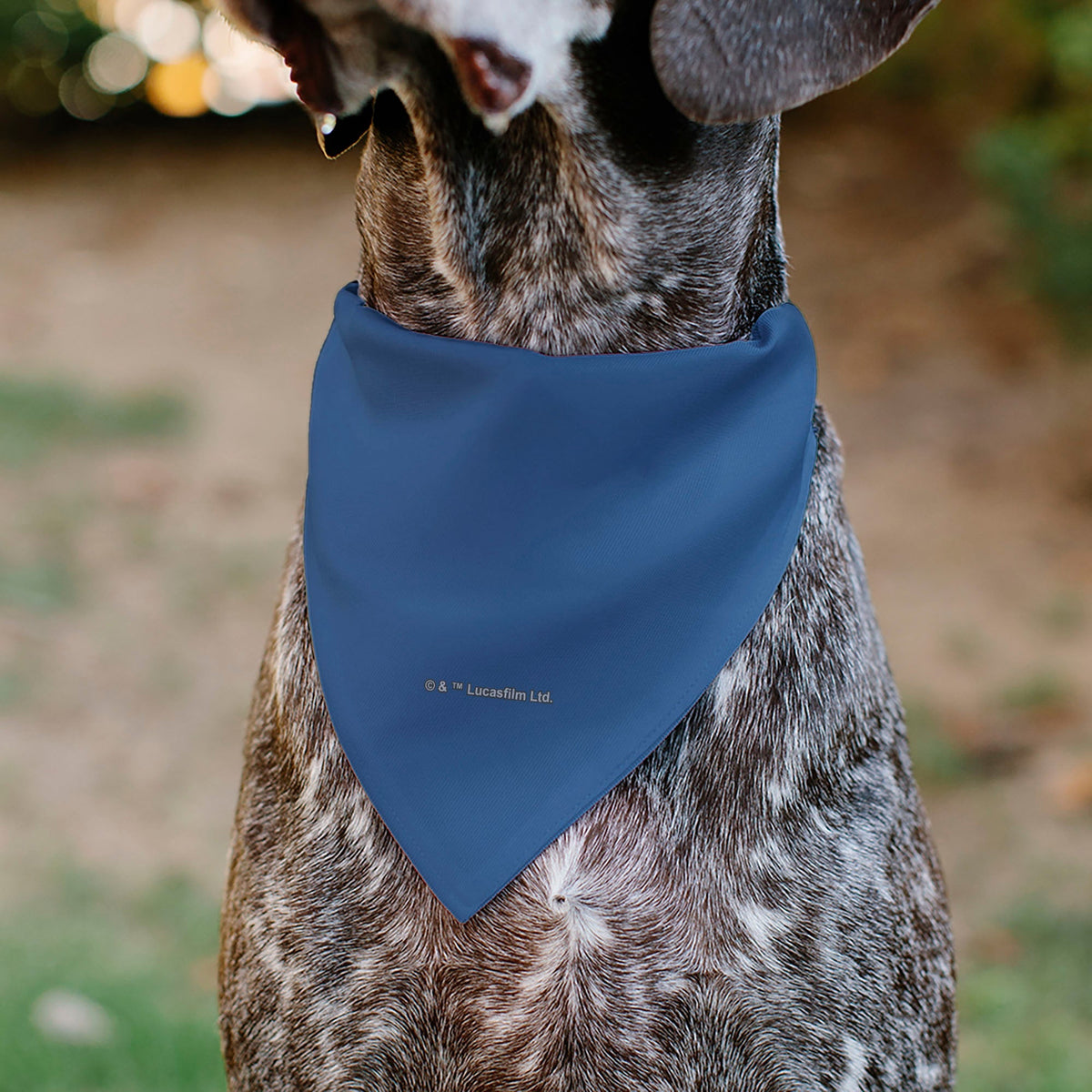 Pet Bandana - Star Wars JEDI Text and Yoda Lightsaber Pop Art Pose Black/Blues 