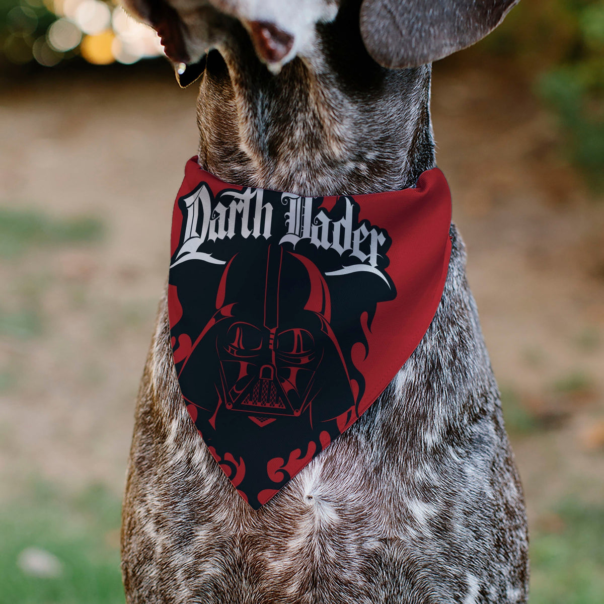 Pet Bandana - Star Wars DARTH VADER Face and Text Flame Red/Black/White 